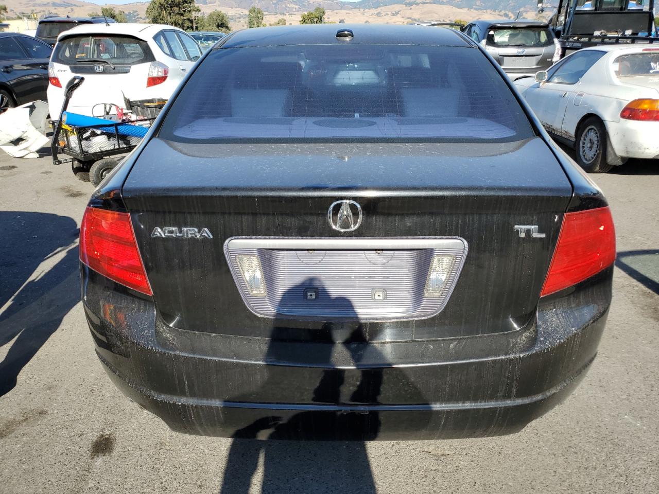 Photo 5 VIN: 19UUA66255A032102 - ACURA TL 