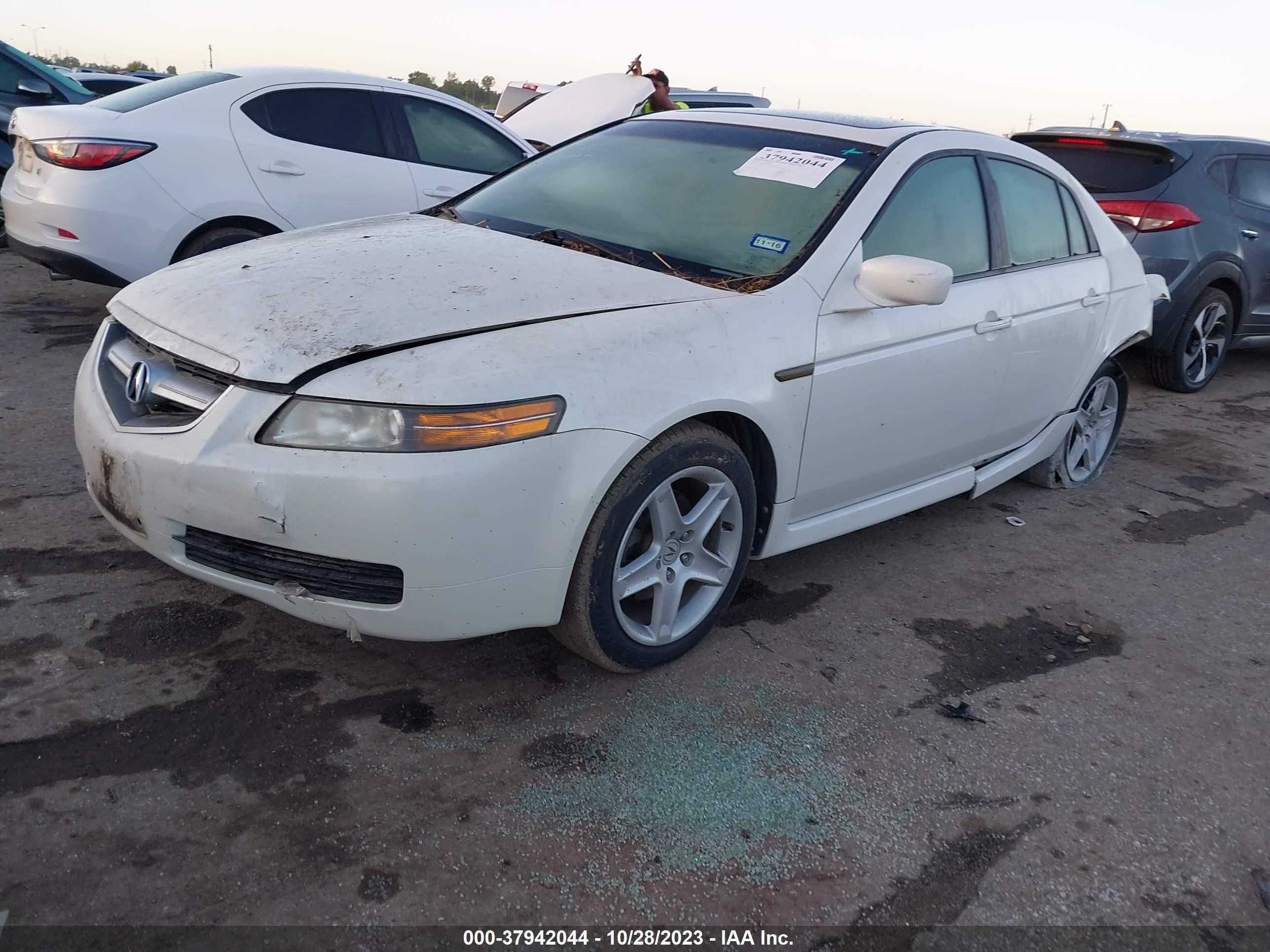 Photo 1 VIN: 19UUA66255A037851 - ACURA TL 