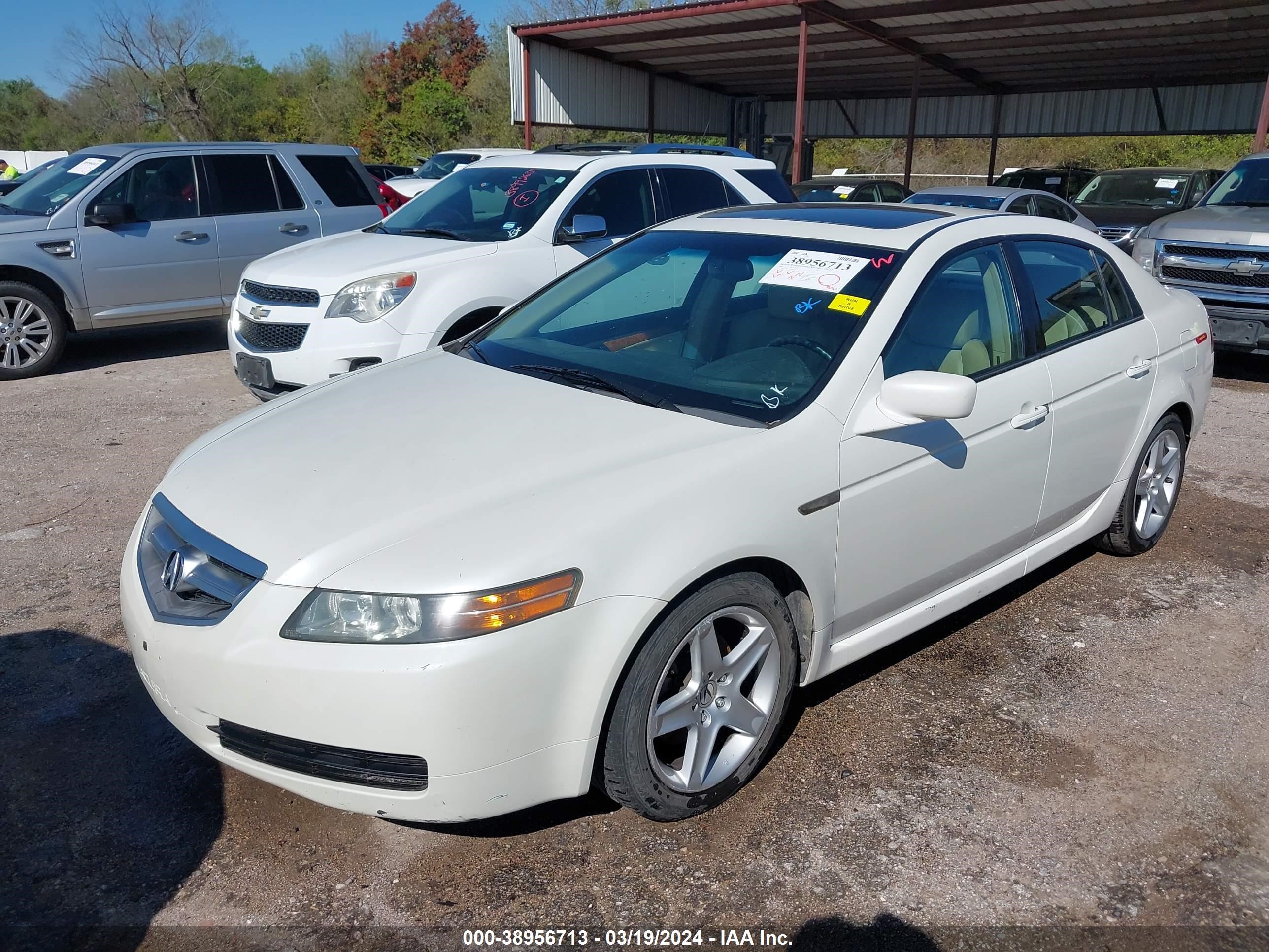 Photo 1 VIN: 19UUA66255A045447 - ACURA TL 