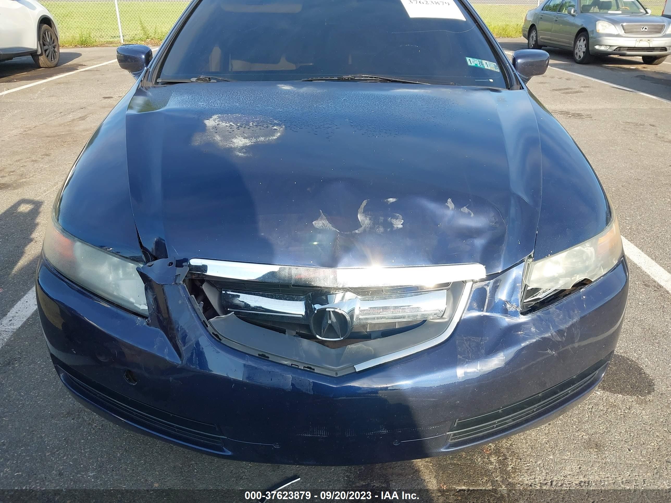 Photo 9 VIN: 19UUA66256A017245 - ACURA TL 