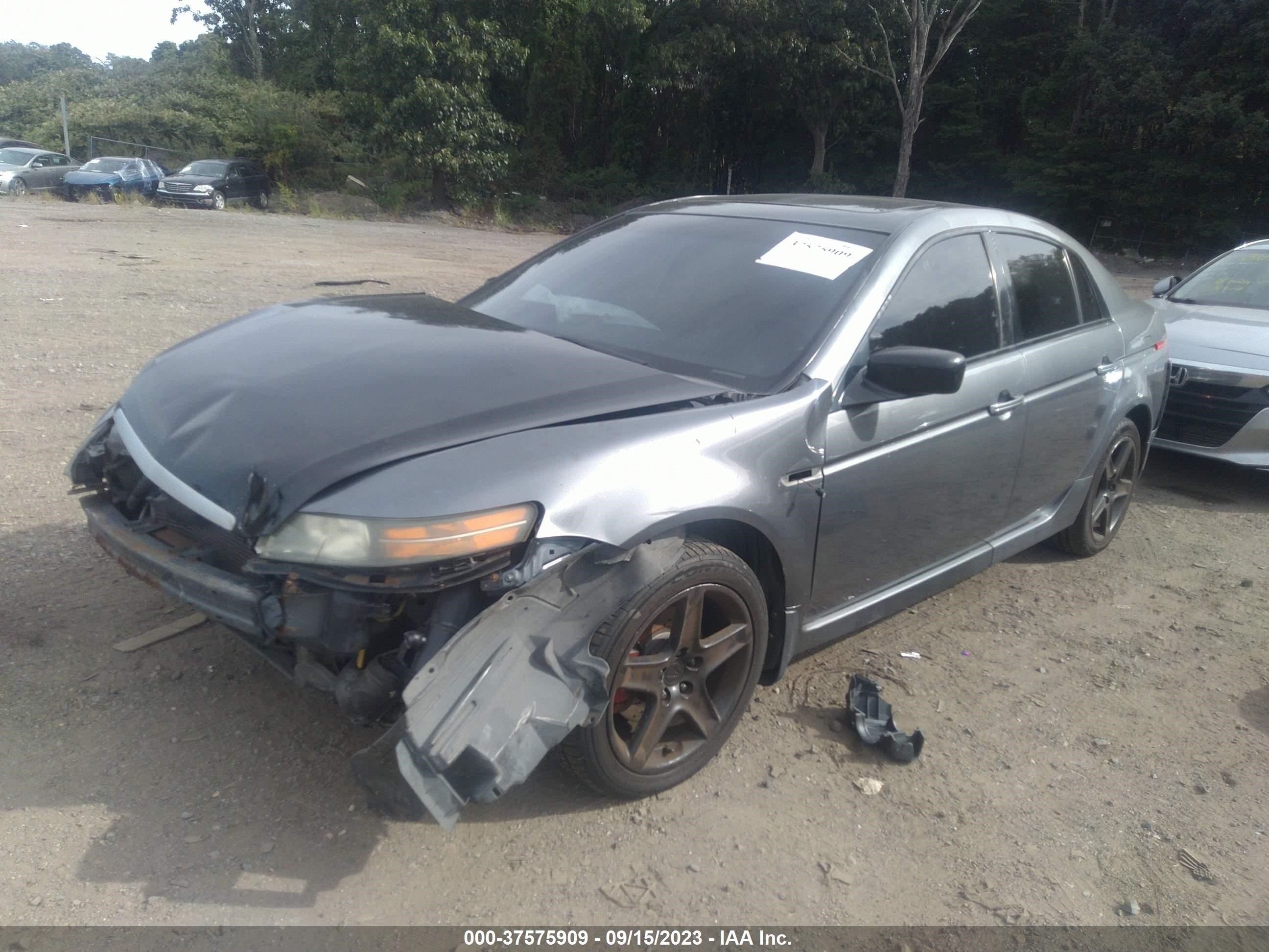 Photo 1 VIN: 19UUA66256A018685 - ACURA TL 