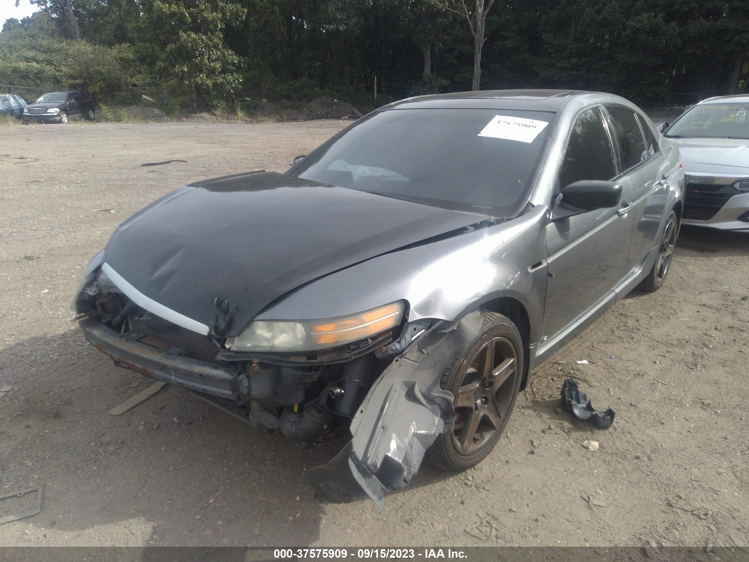 Photo 5 VIN: 19UUA66256A018685 - ACURA TL 