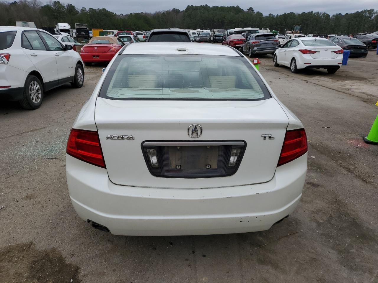 Photo 5 VIN: 19UUA66256A023000 - ACURA TL 