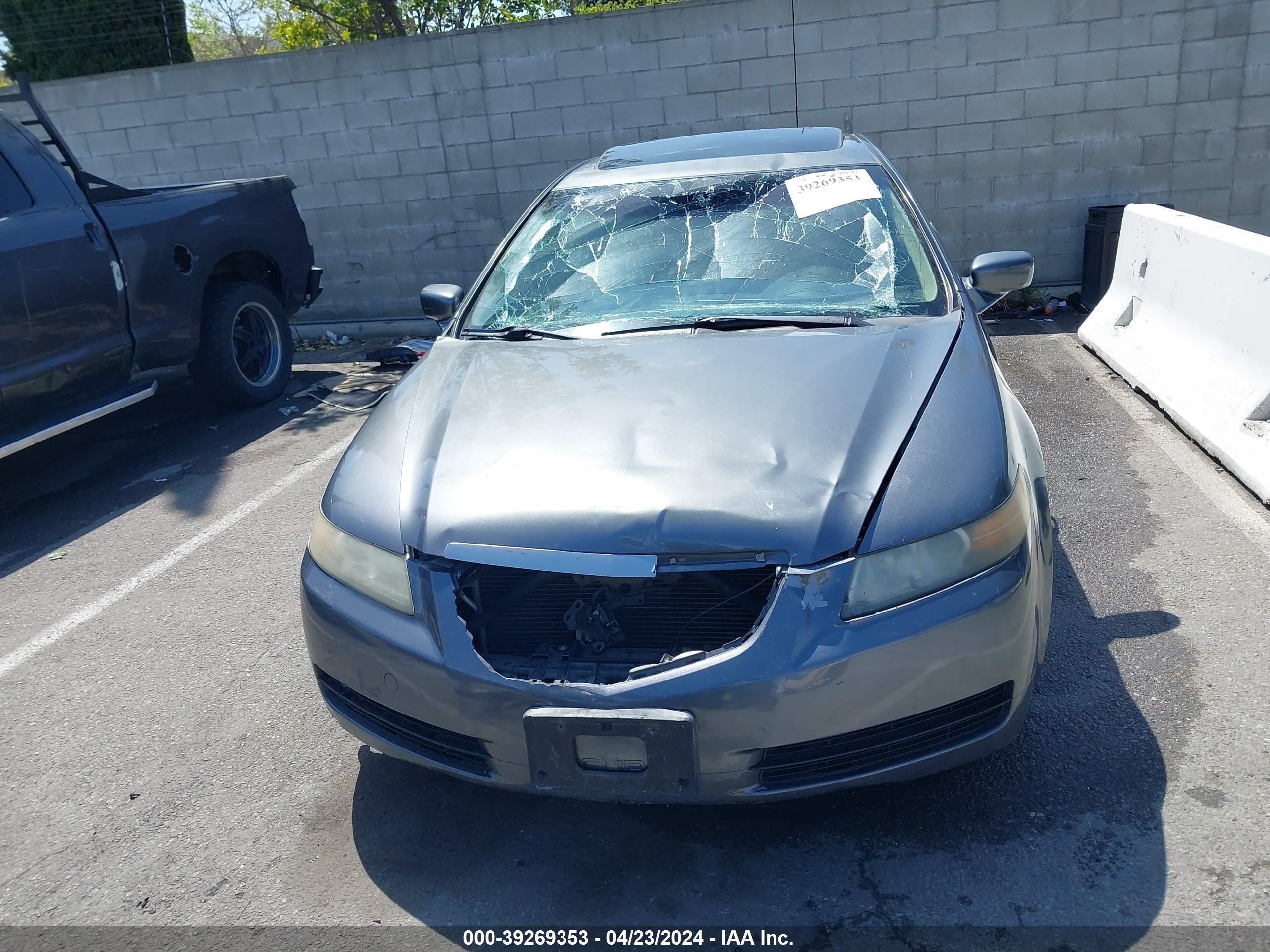 Photo 12 VIN: 19UUA66256A056126 - ACURA TL 