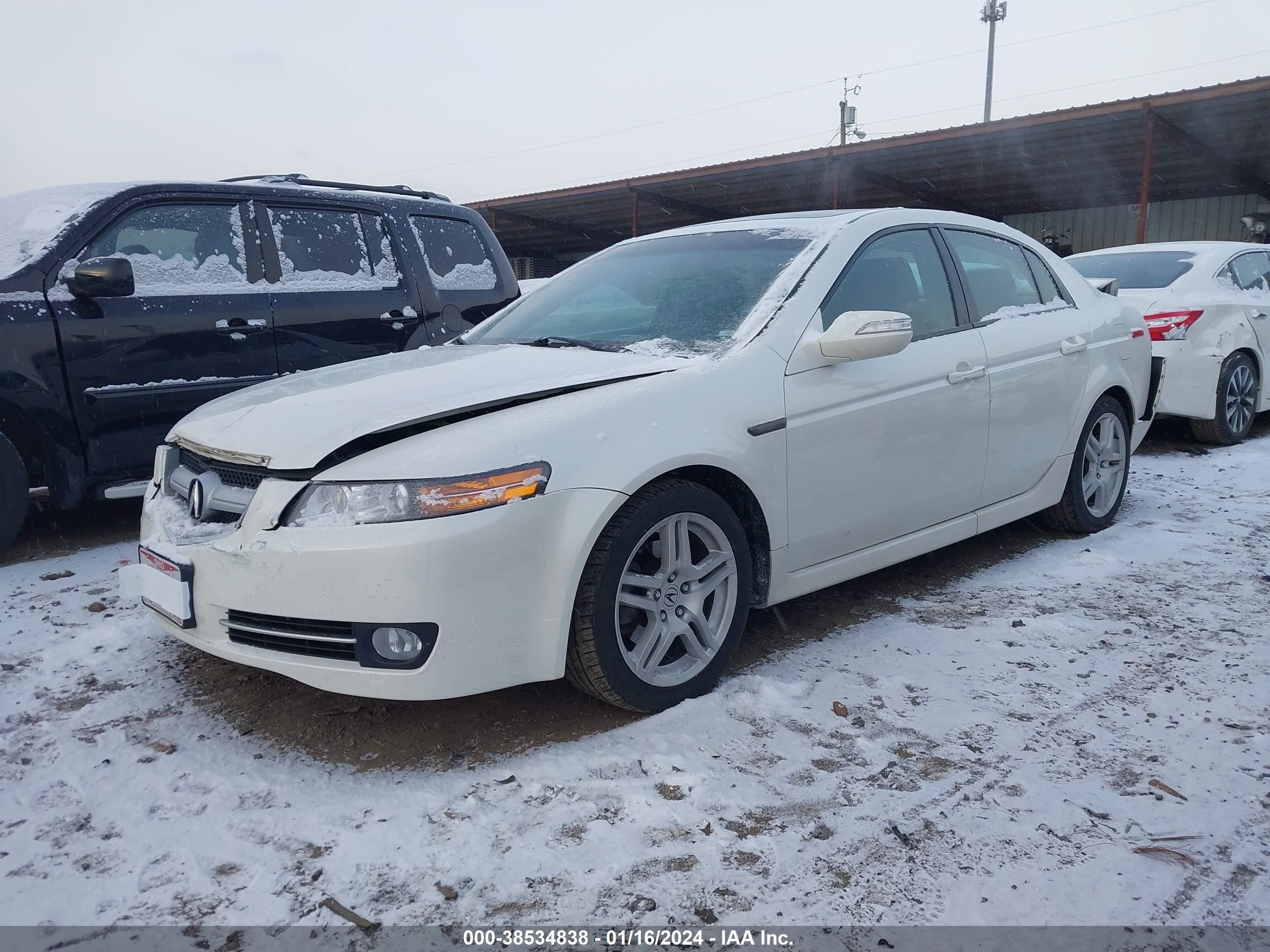 Photo 1 VIN: 19UUA66257A029591 - ACURA TL 