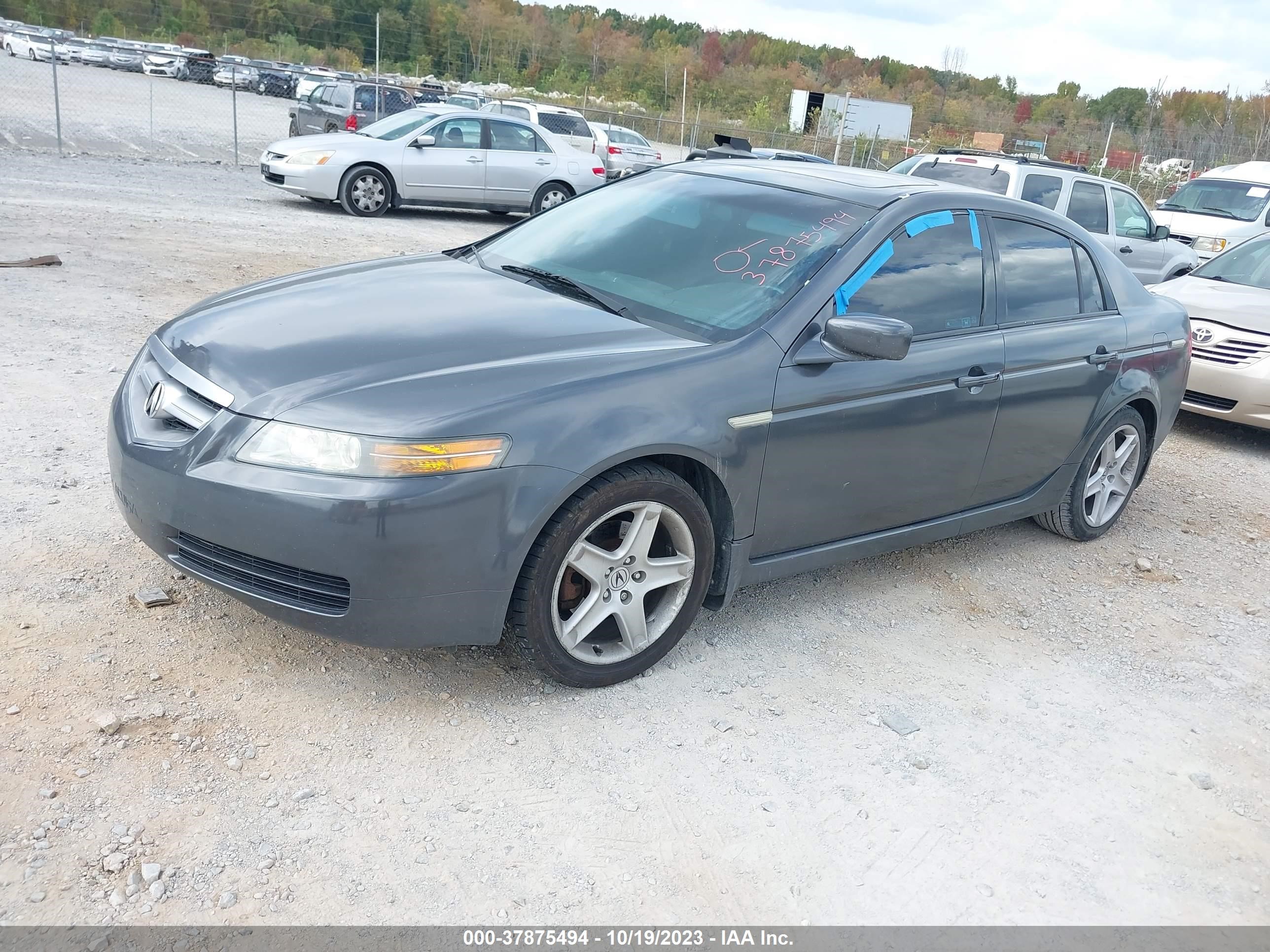 Photo 1 VIN: 19UUA66264A013704 - ACURA TL 