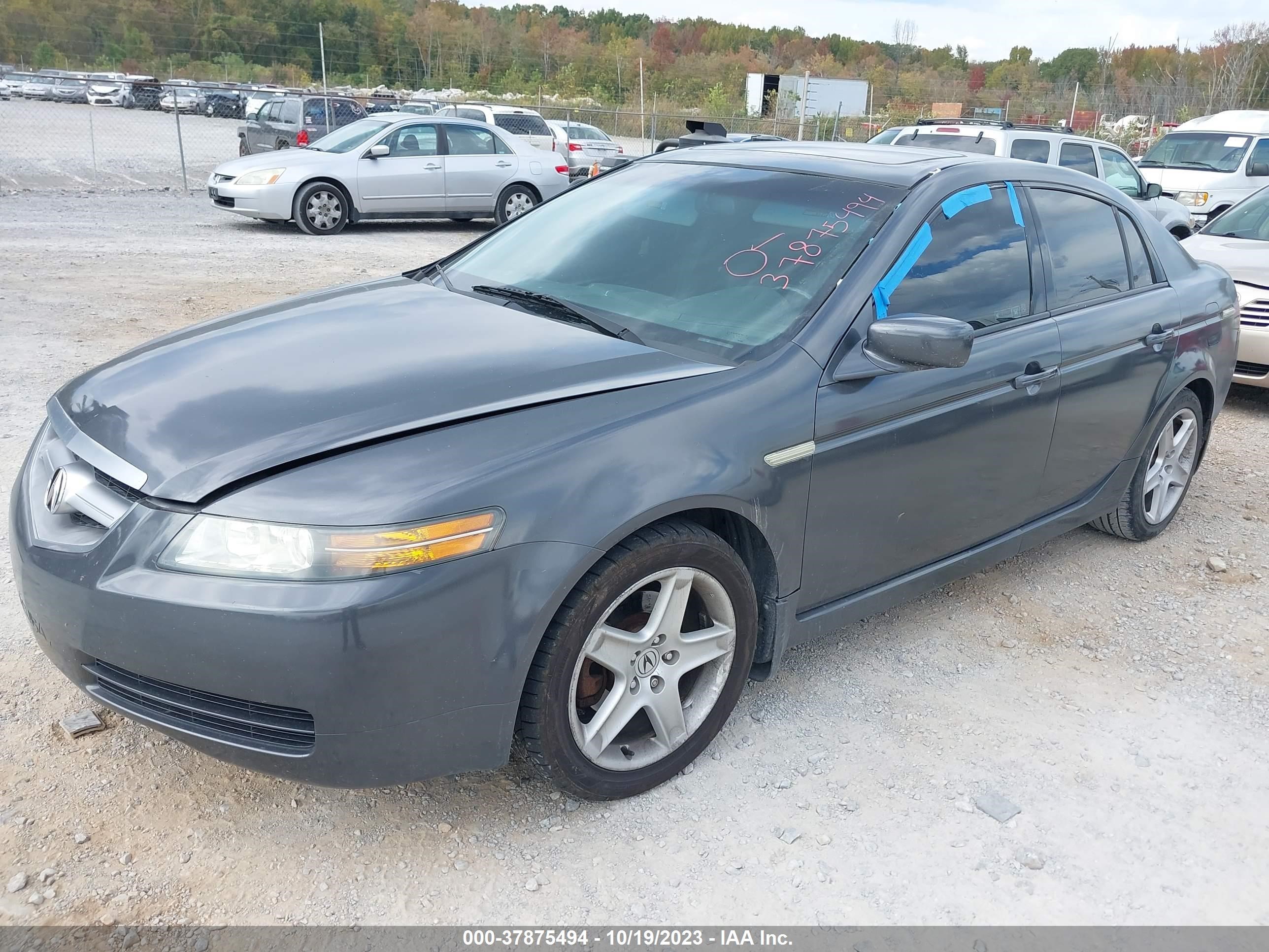 Photo 5 VIN: 19UUA66264A013704 - ACURA TL 