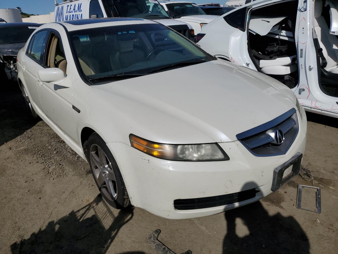 Photo 3 VIN: 19UUA66264A021351 - ACURA TL 