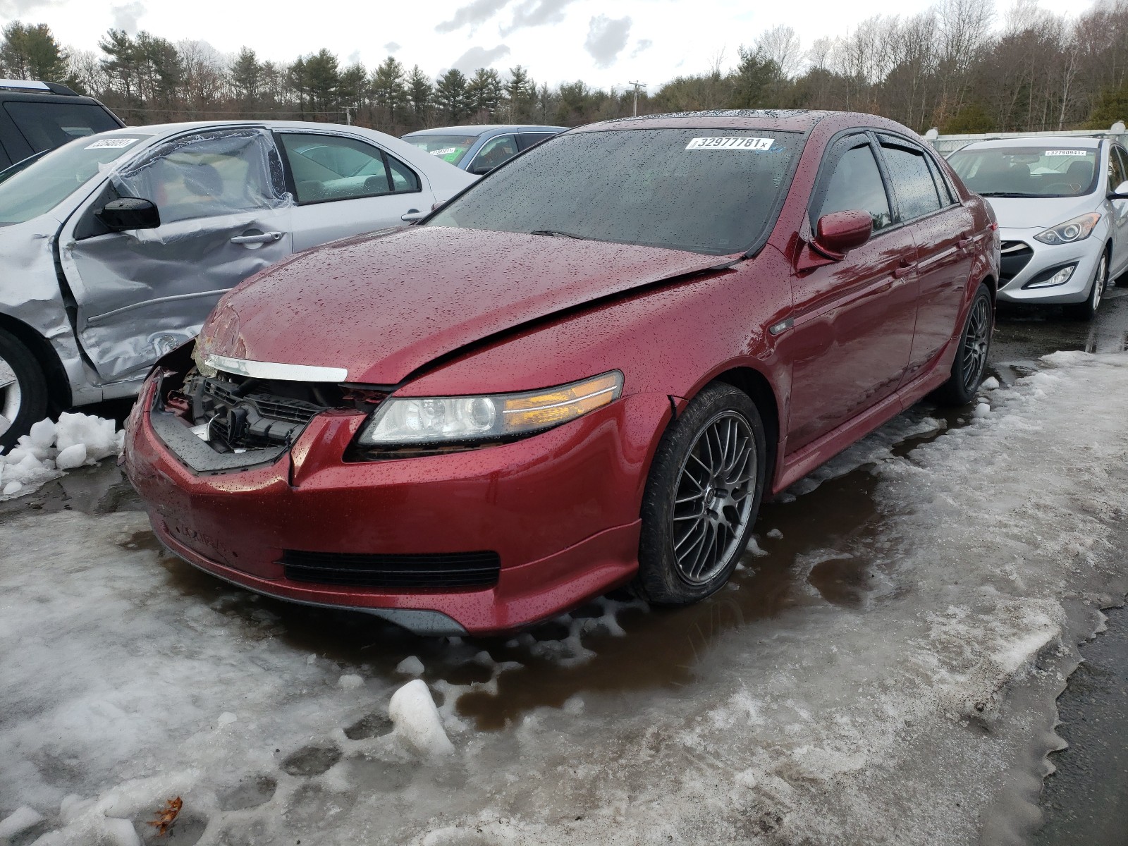 Photo 1 VIN: 19UUA66264A075104 - ACURA TL 