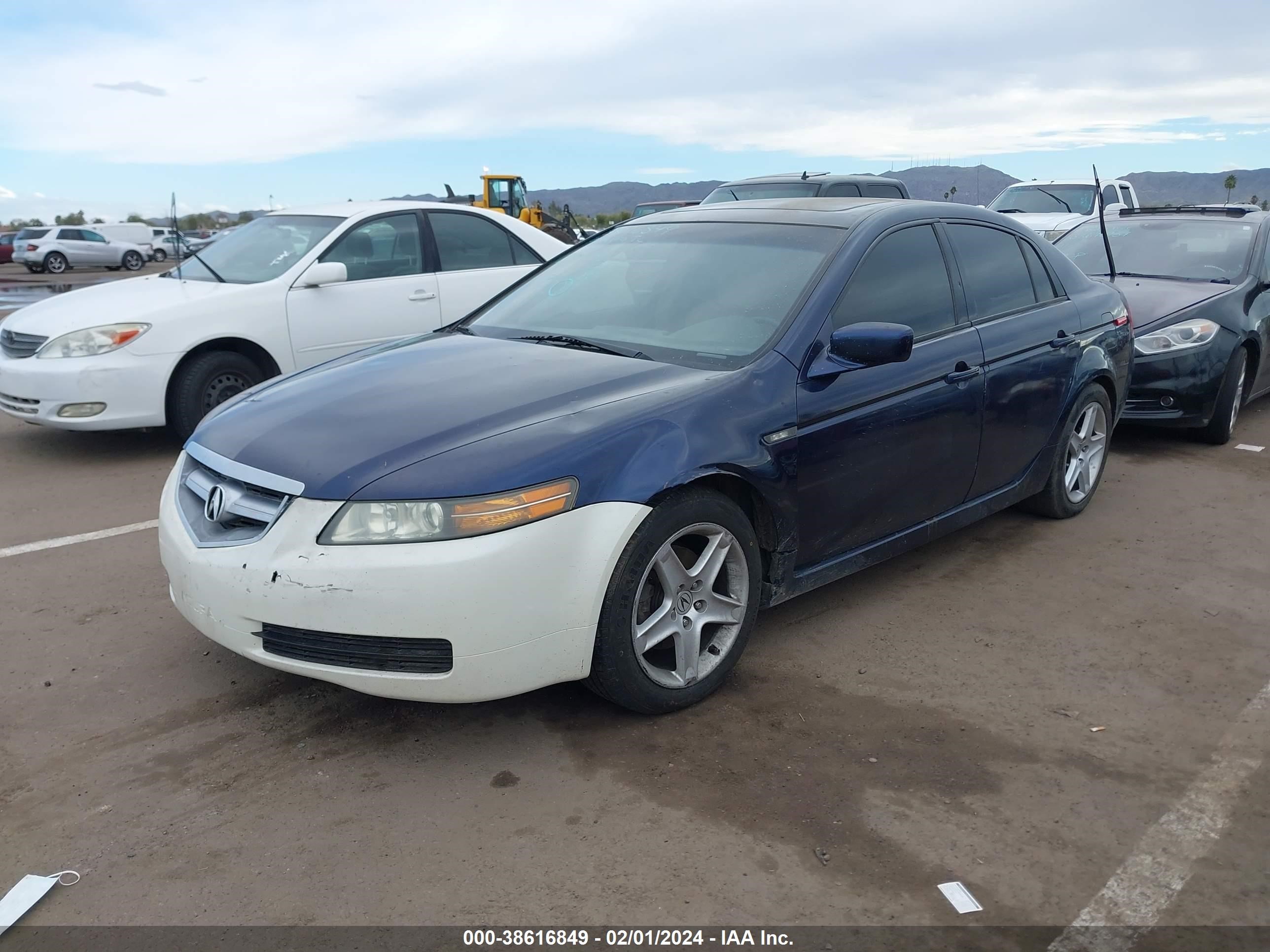 Photo 1 VIN: 19UUA66265A004602 - ACURA TL 