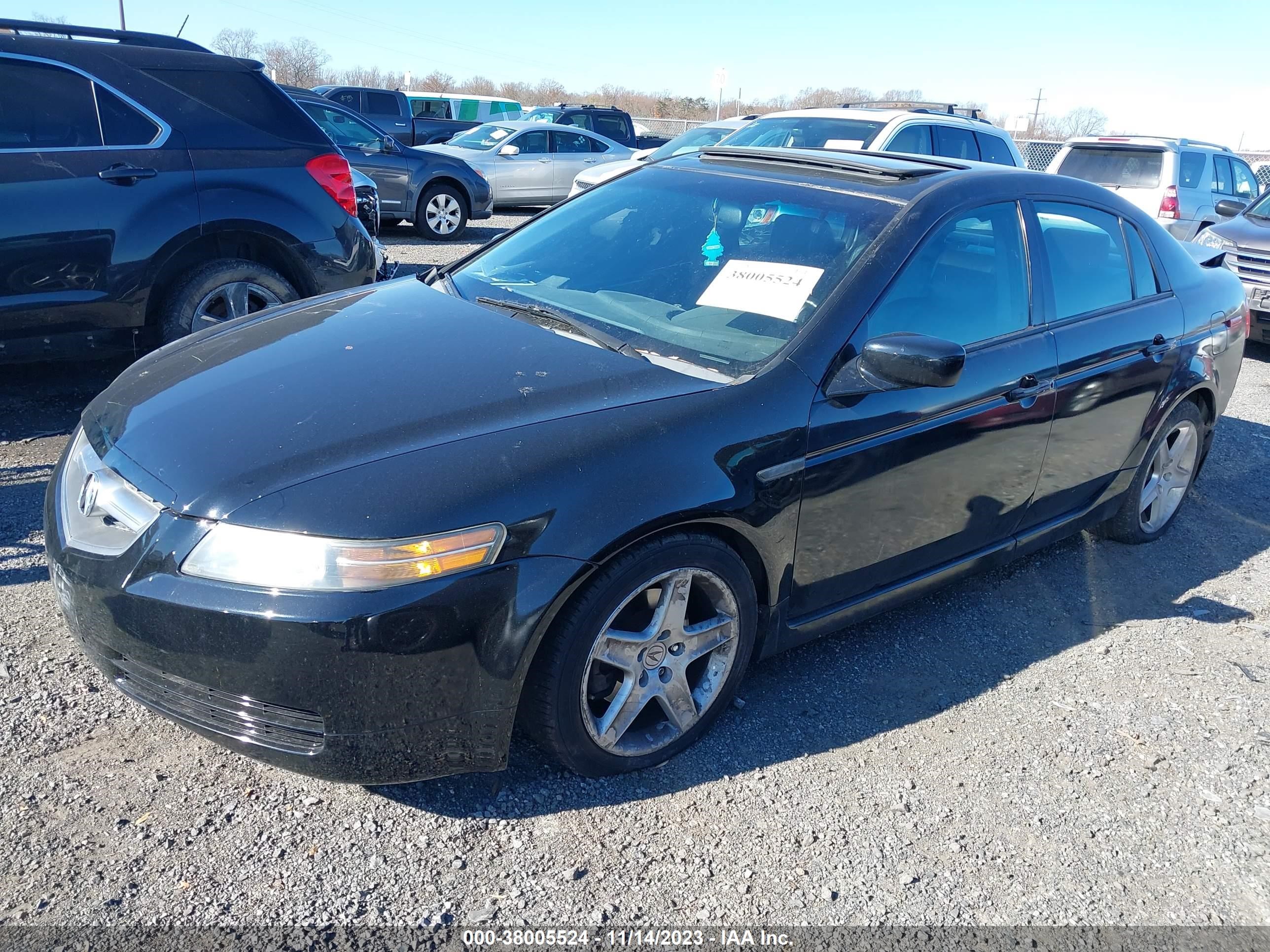 Photo 1 VIN: 19UUA66265A020038 - ACURA TL 