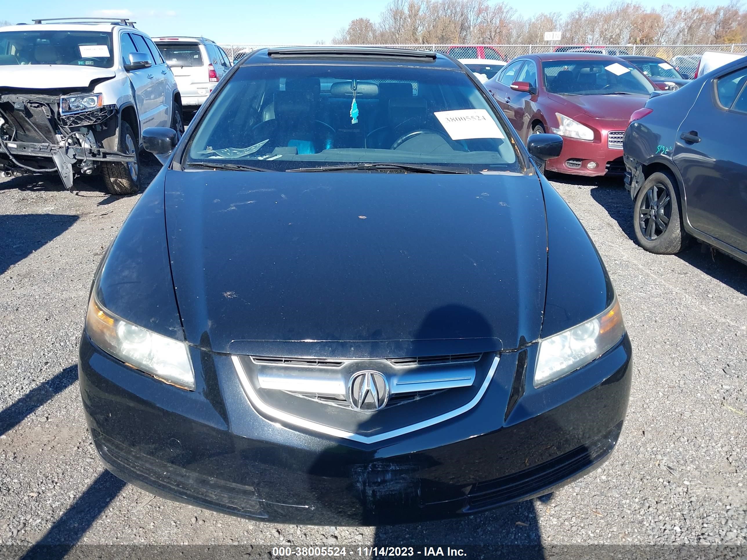 Photo 11 VIN: 19UUA66265A020038 - ACURA TL 