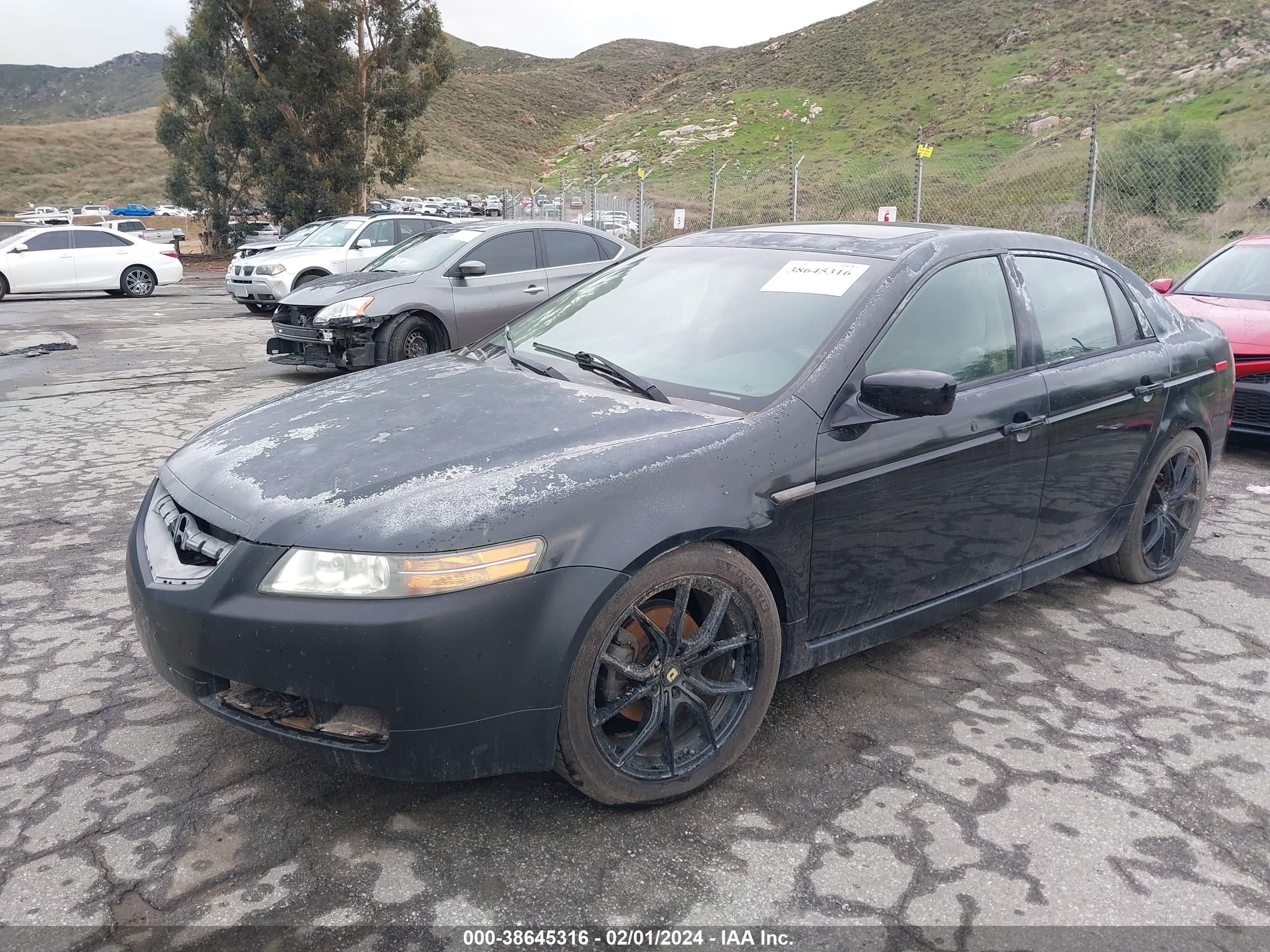 Photo 1 VIN: 19UUA66266A043773 - ACURA TL 