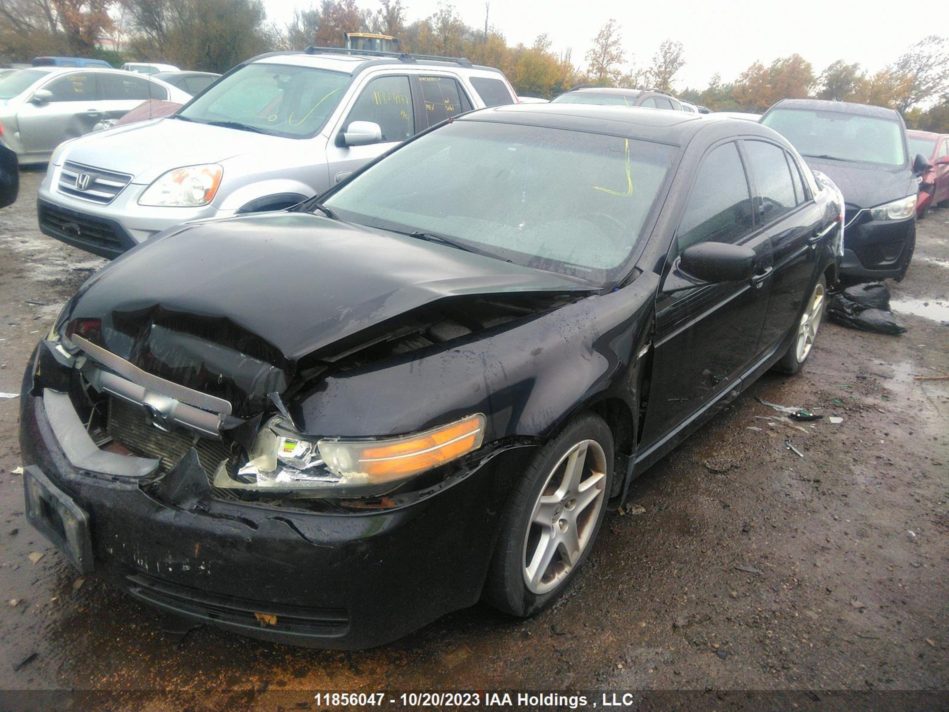 Photo 1 VIN: 19UUA66266A803197 - ACURA TL 