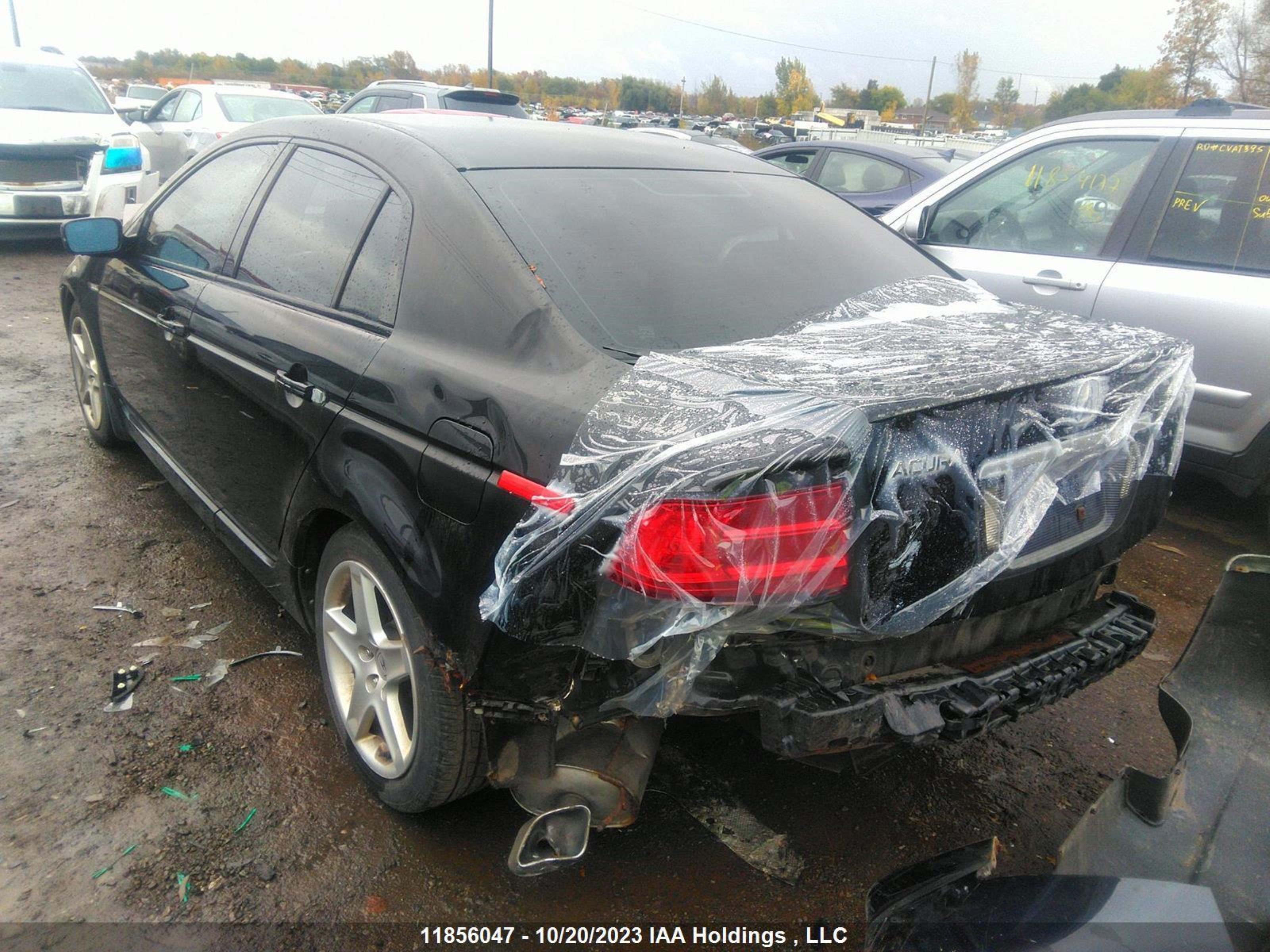 Photo 2 VIN: 19UUA66266A803197 - ACURA TL 