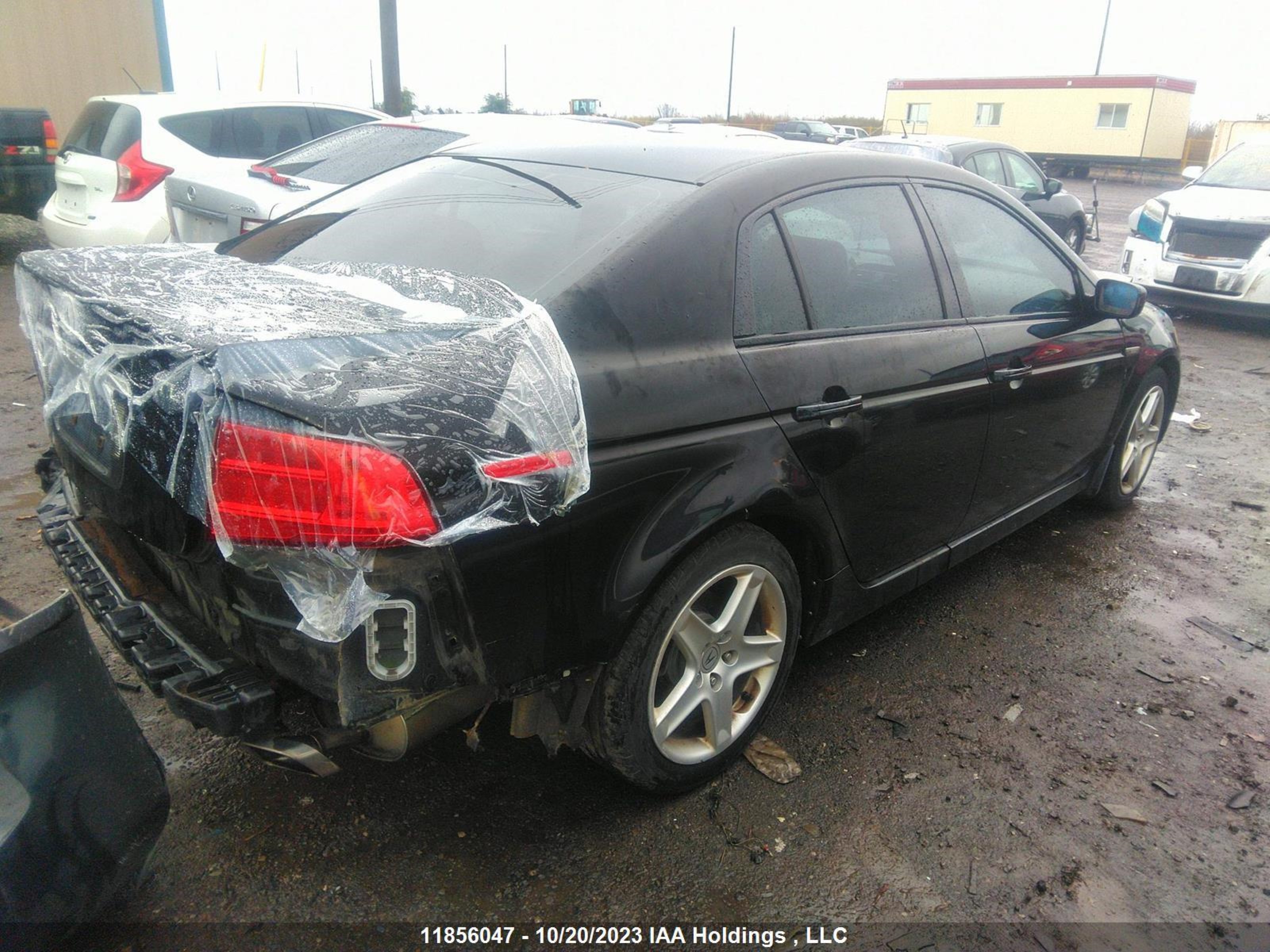 Photo 3 VIN: 19UUA66266A803197 - ACURA TL 