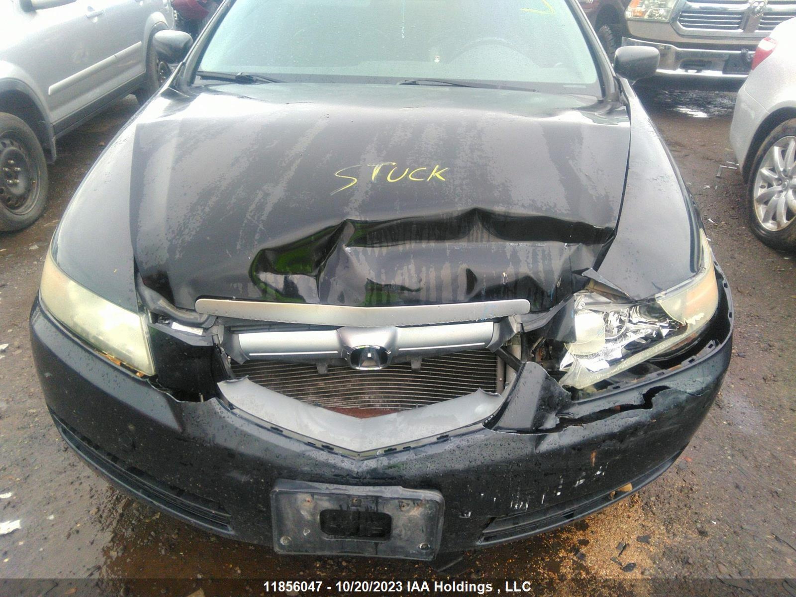 Photo 5 VIN: 19UUA66266A803197 - ACURA TL 