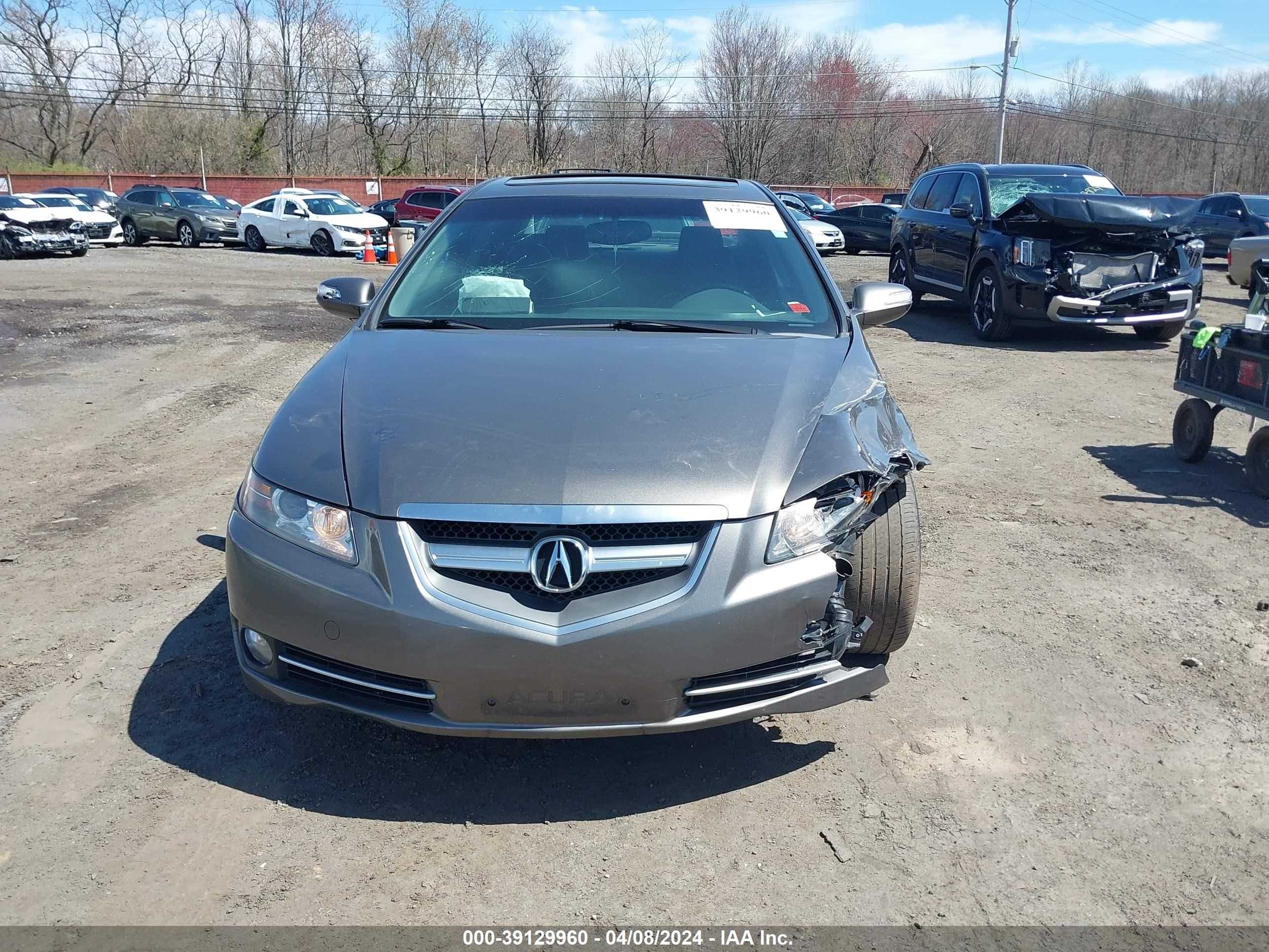 Photo 11 VIN: 19UUA66268A016026 - ACURA TL 