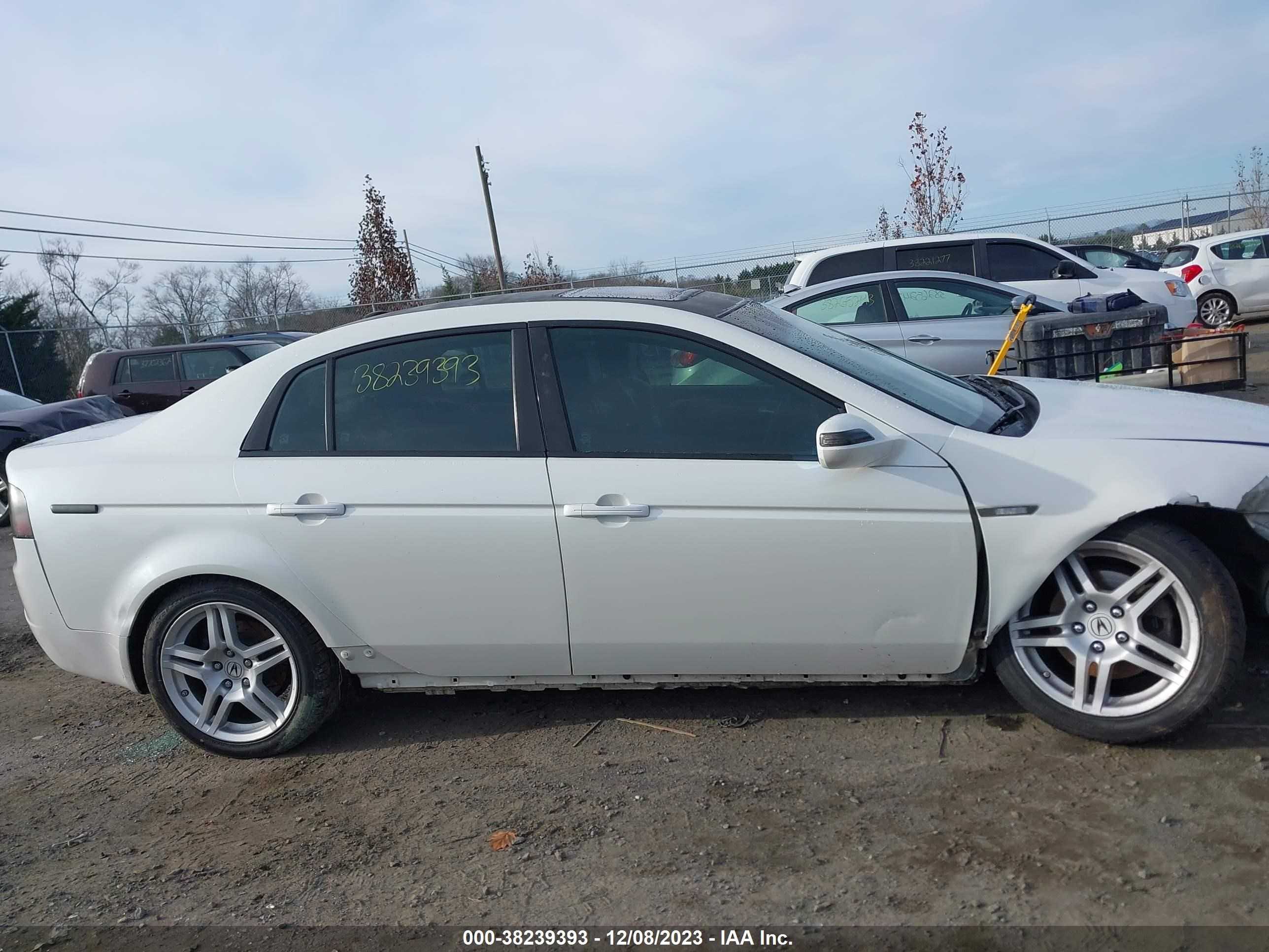 Photo 12 VIN: 19UUA66268A032937 - ACURA TL 