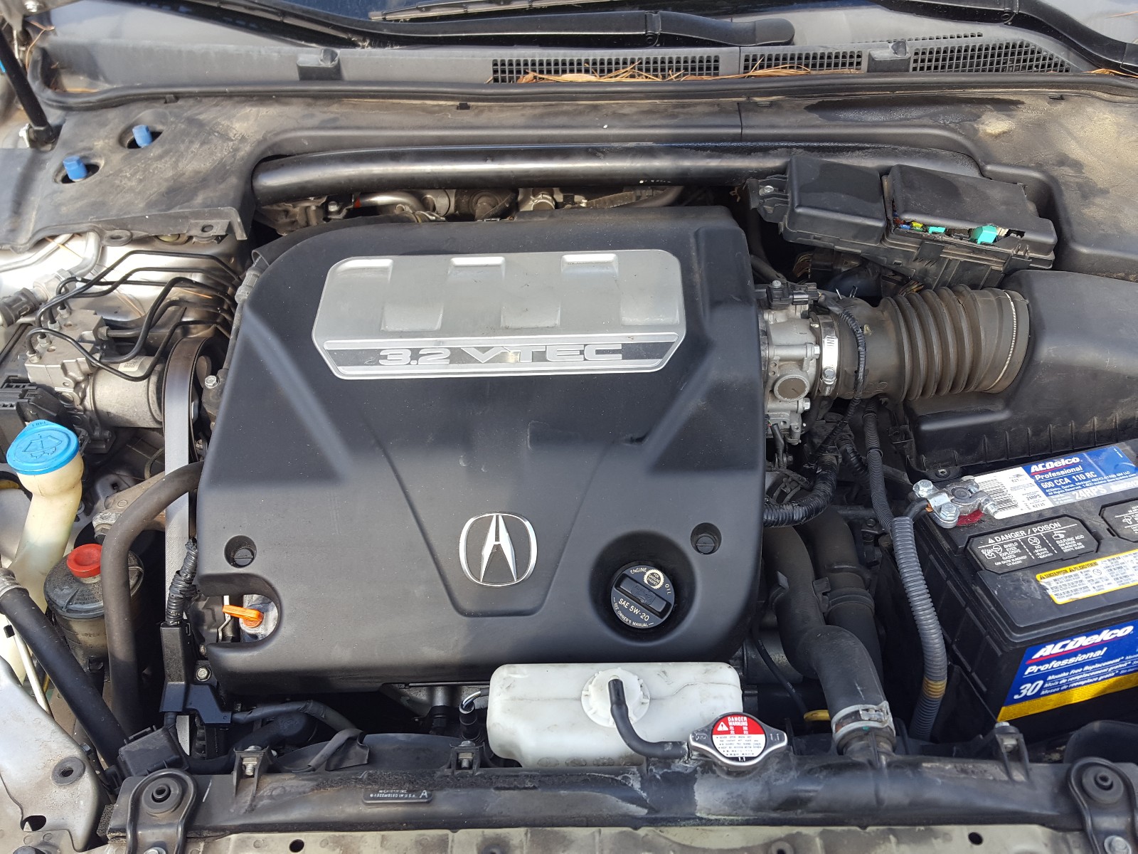 Photo 6 VIN: 19UUA66268A050189 - ACURA TL 