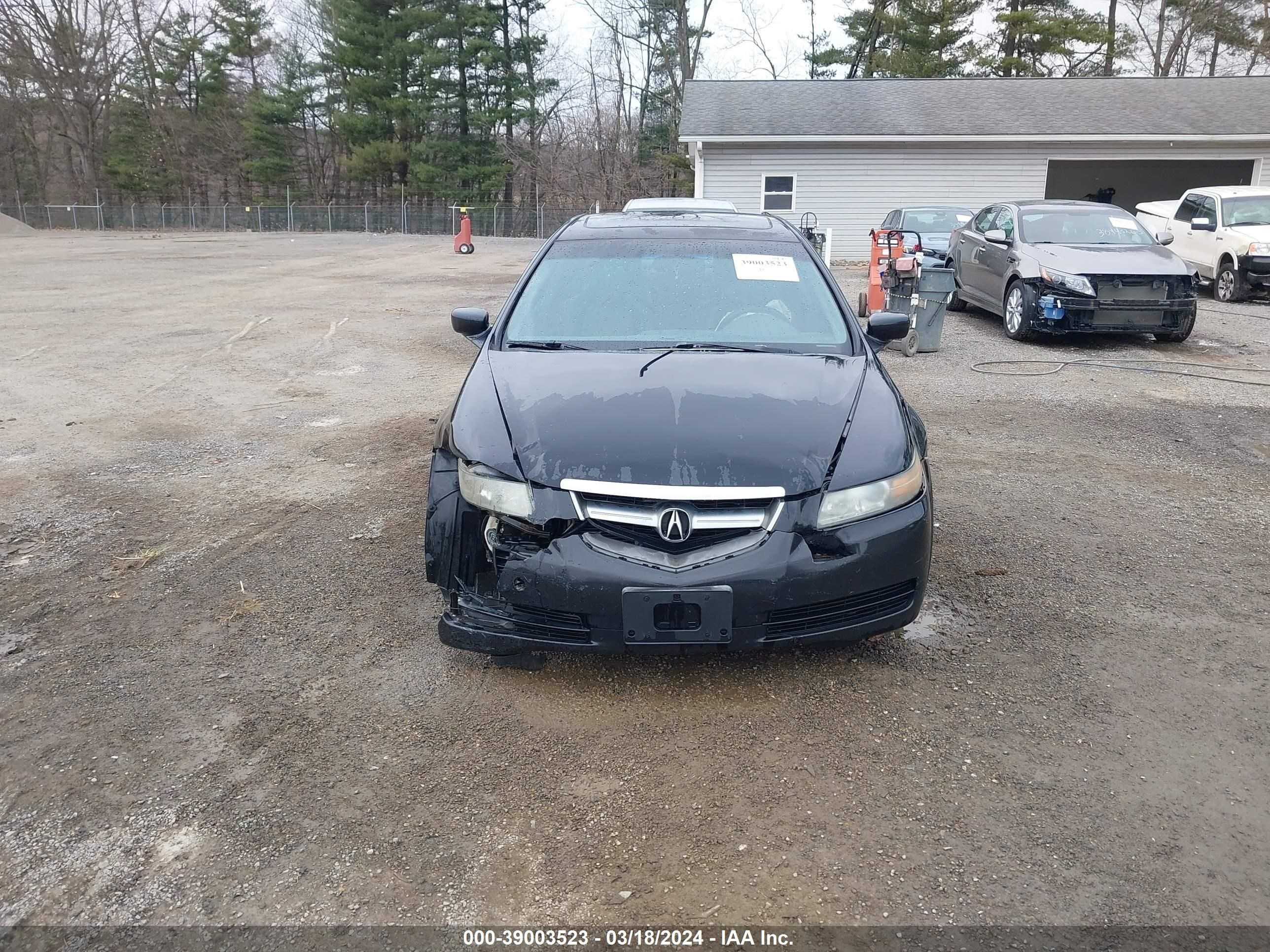 Photo 12 VIN: 19UUA66275A030836 - ACURA TL 