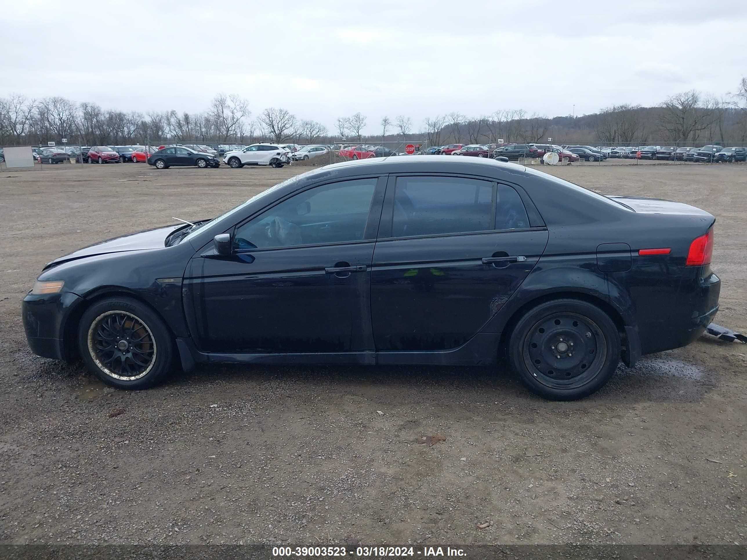 Photo 14 VIN: 19UUA66275A030836 - ACURA TL 