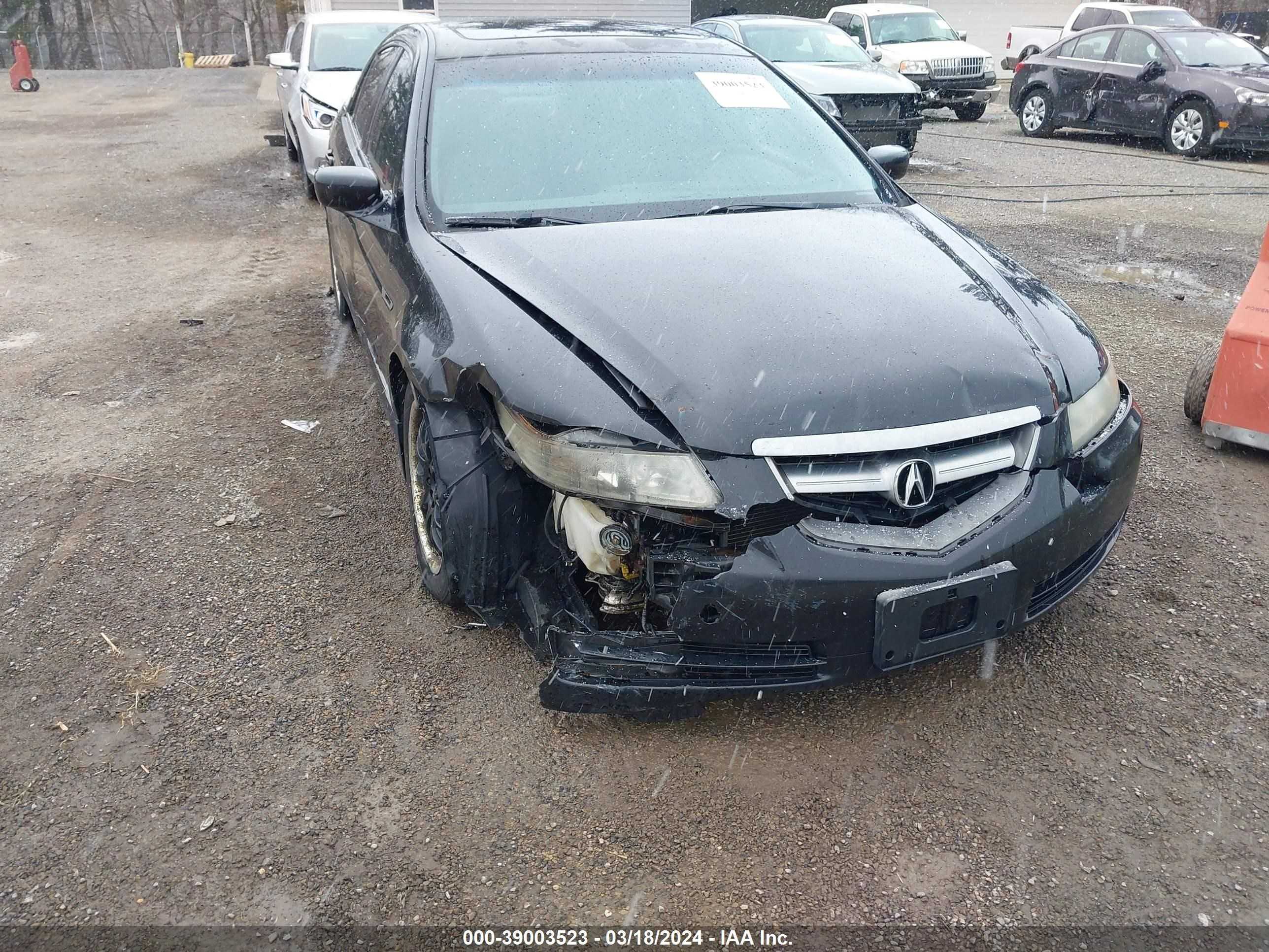 Photo 5 VIN: 19UUA66275A030836 - ACURA TL 