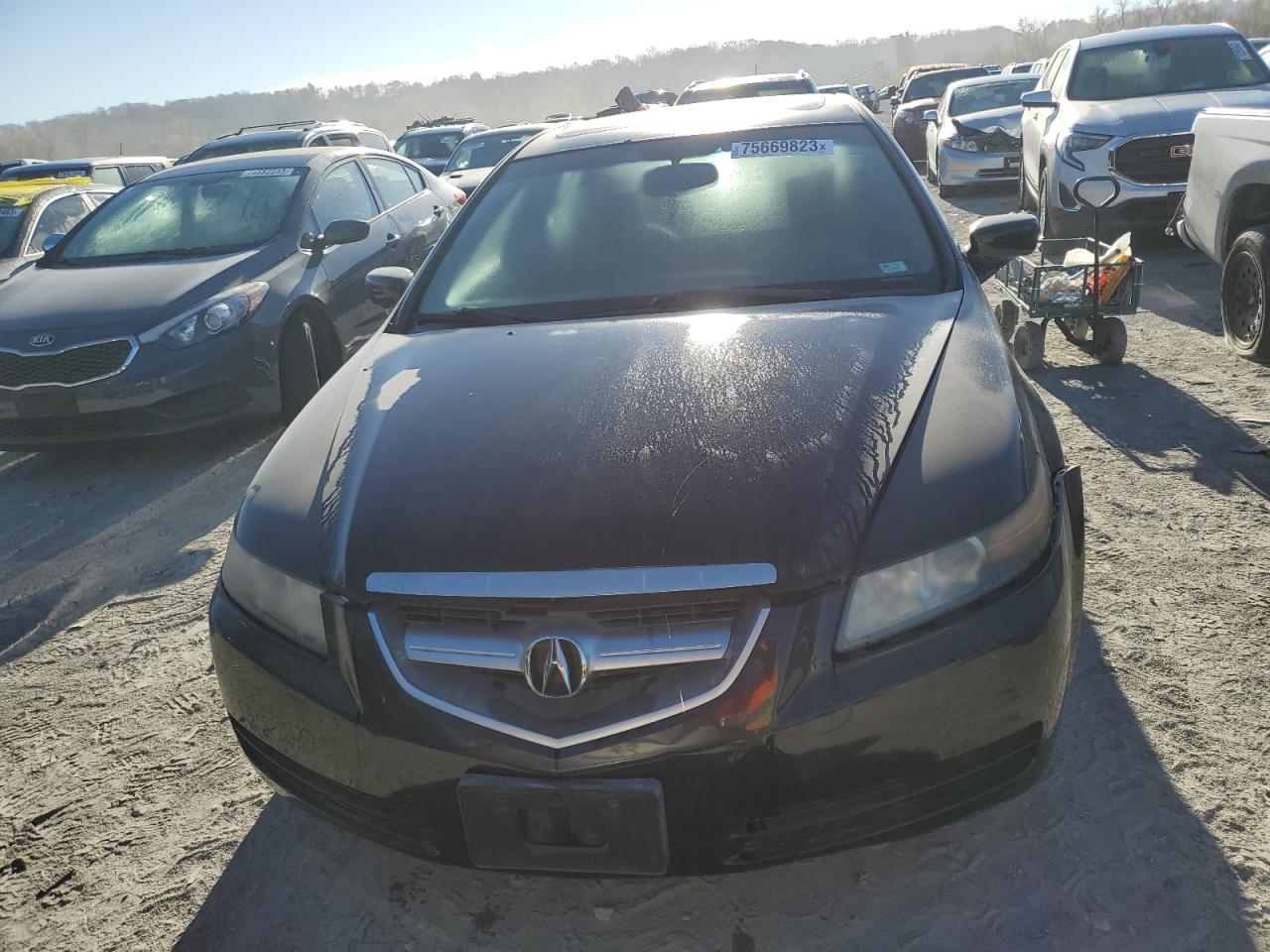 Photo 4 VIN: 19UUA66275A059267 - ACURA TL 