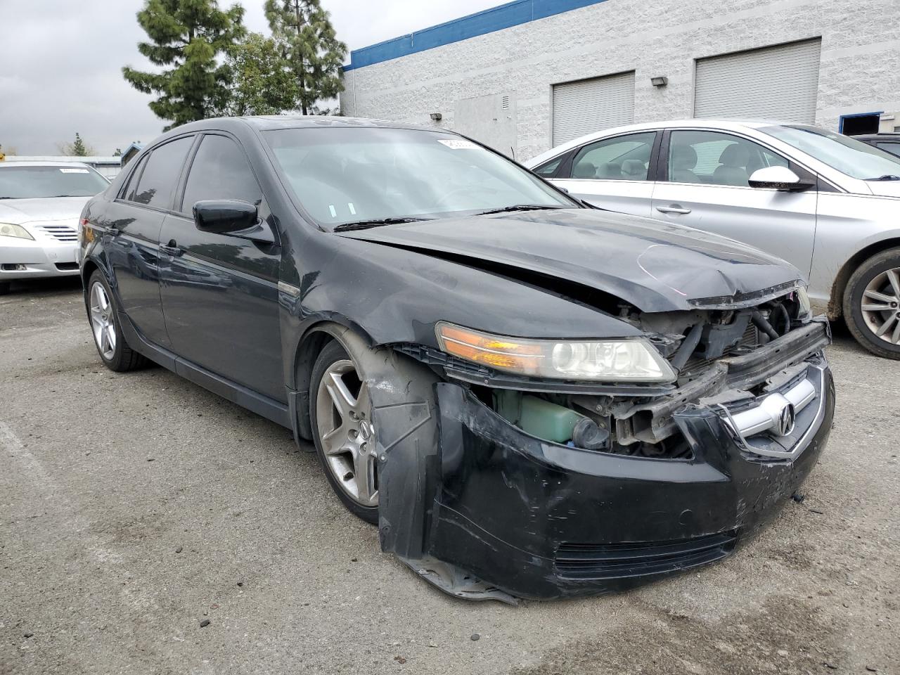 Photo 3 VIN: 19UUA66275A060886 - ACURA TL 