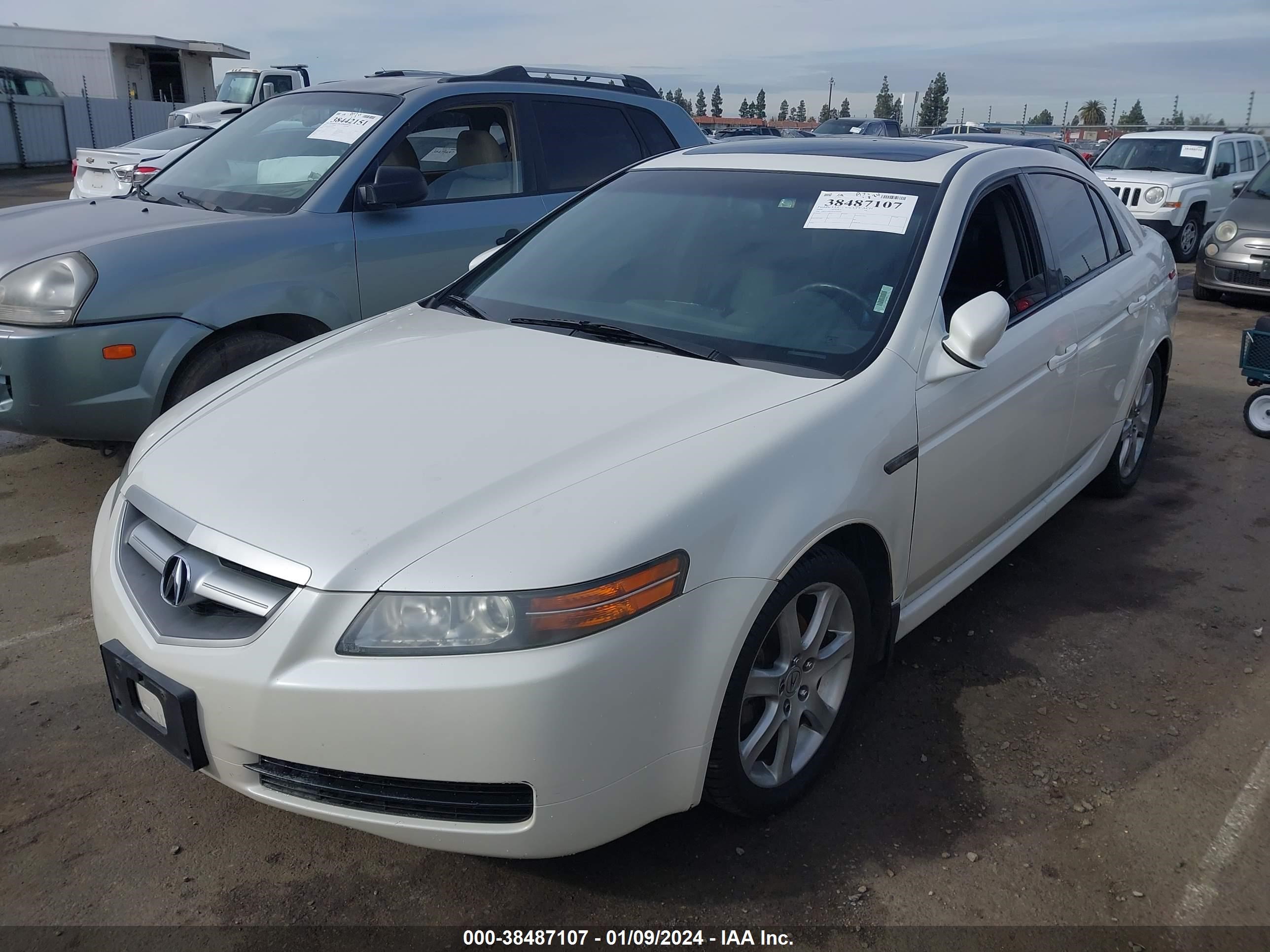 Photo 1 VIN: 19UUA66276A010586 - ACURA TL 