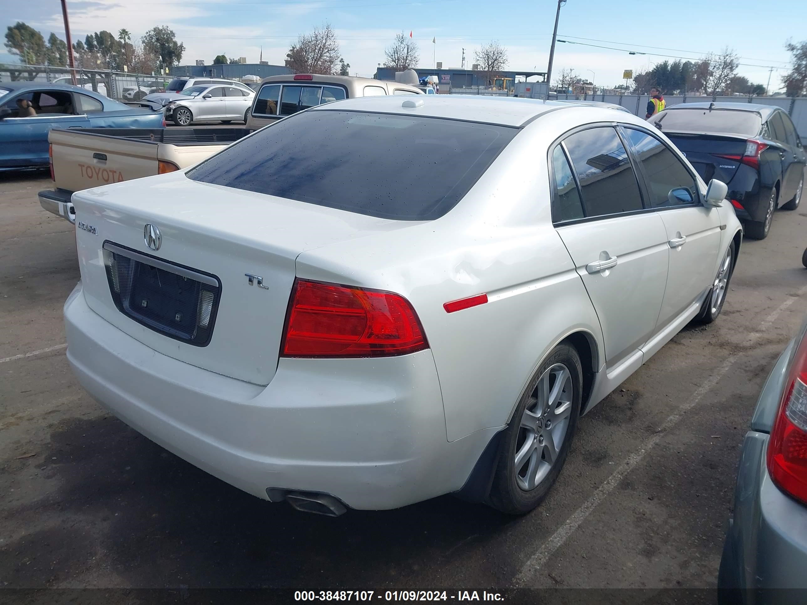 Photo 3 VIN: 19UUA66276A010586 - ACURA TL 