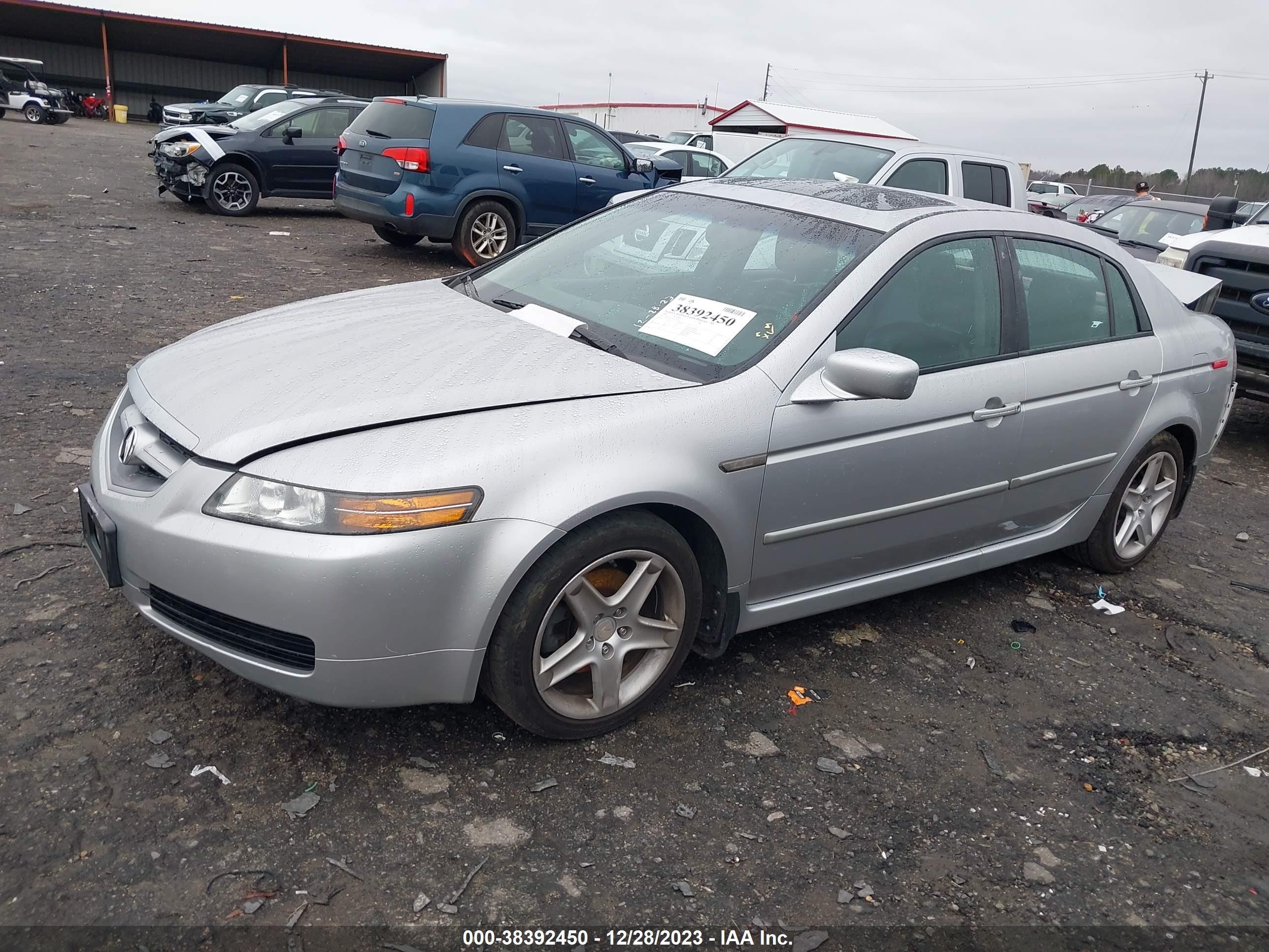 Photo 1 VIN: 19UUA66276A053471 - ACURA TL 