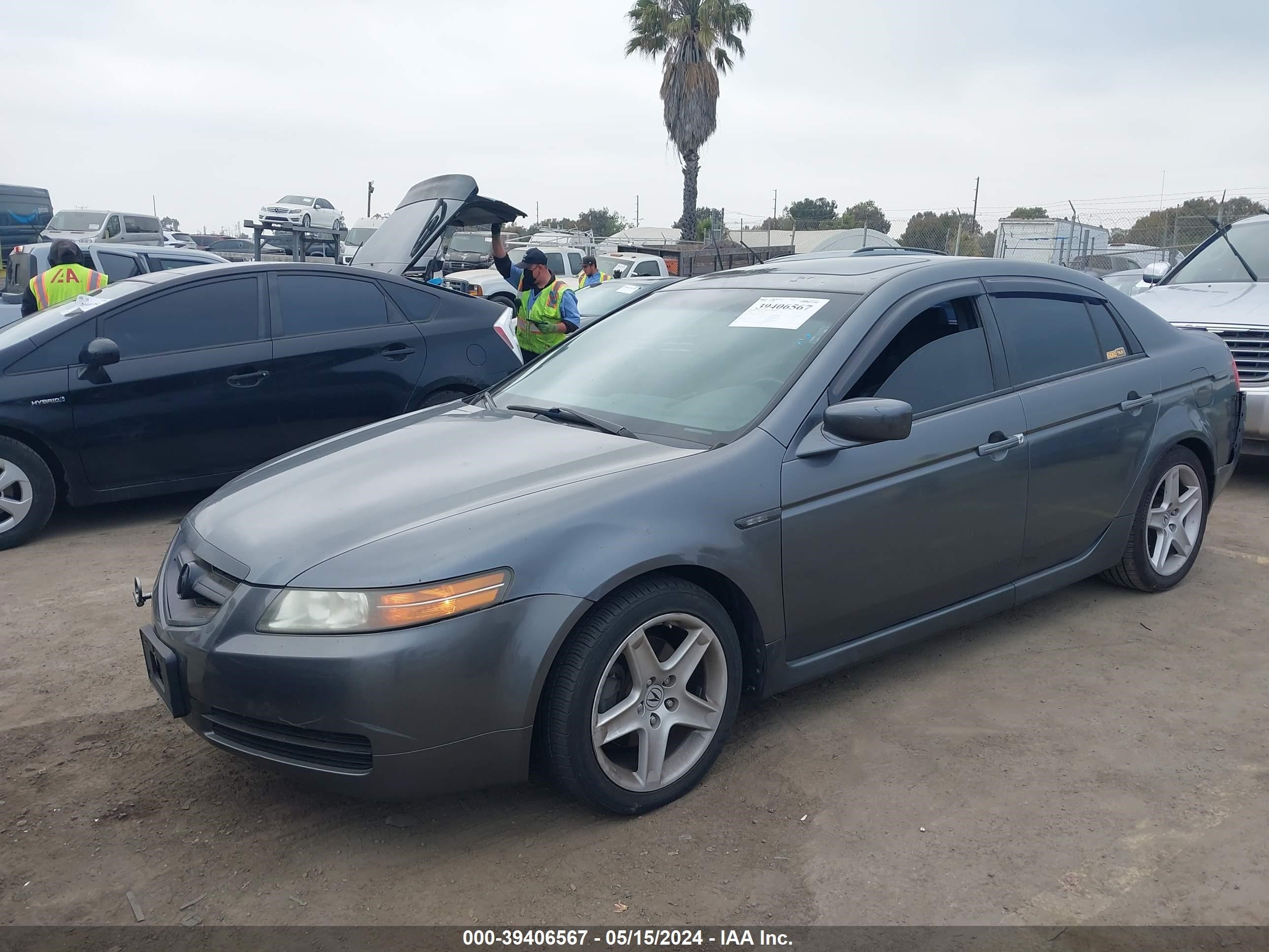 Photo 1 VIN: 19UUA66276A053762 - ACURA TL 