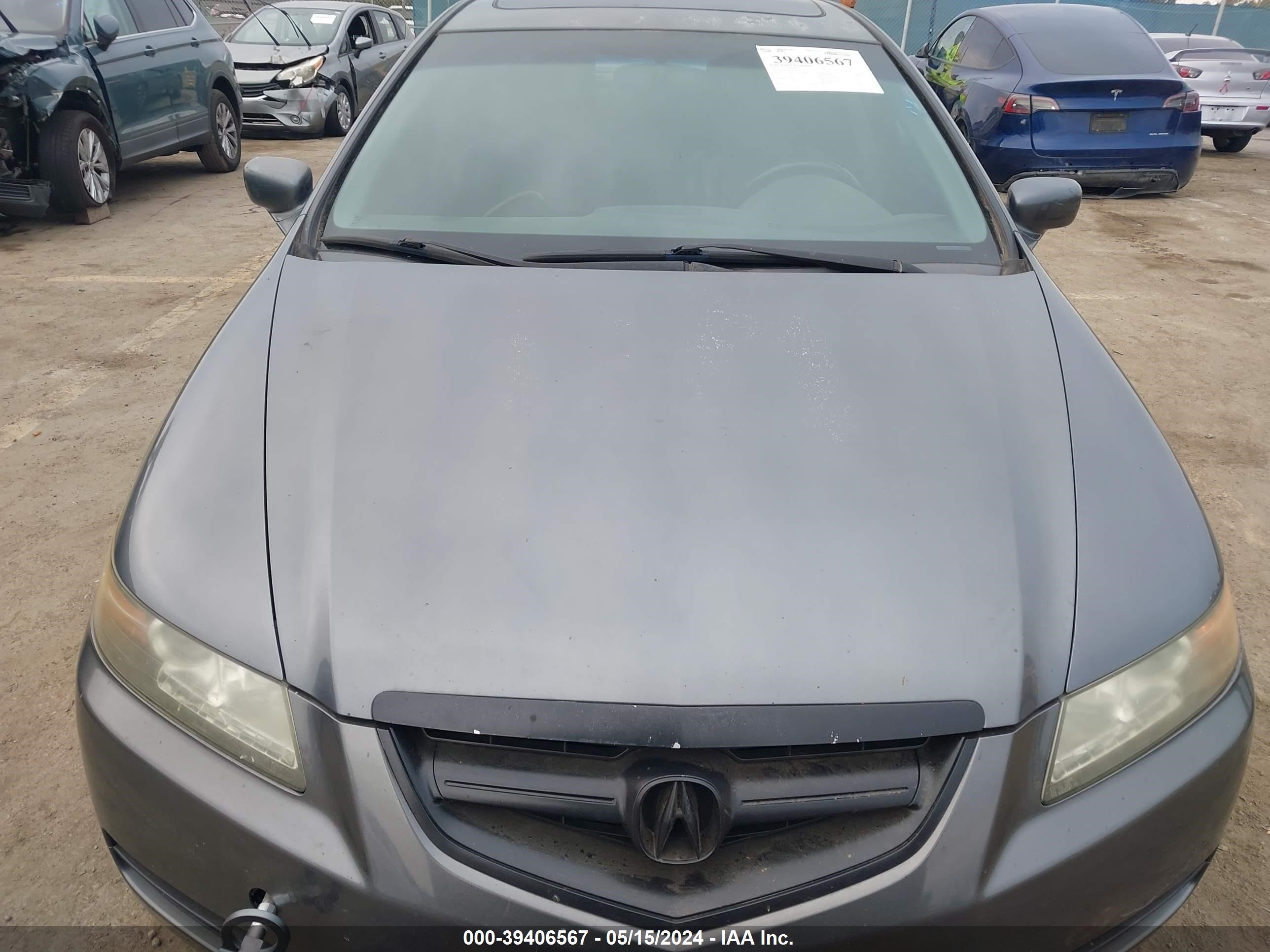 Photo 11 VIN: 19UUA66276A053762 - ACURA TL 