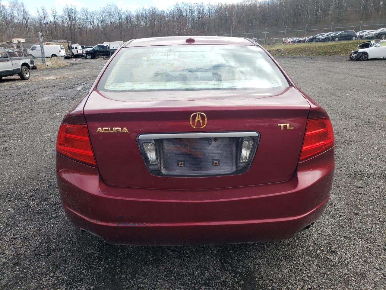 Photo 5 VIN: 19UUA66276A063546 - ACURA TL 