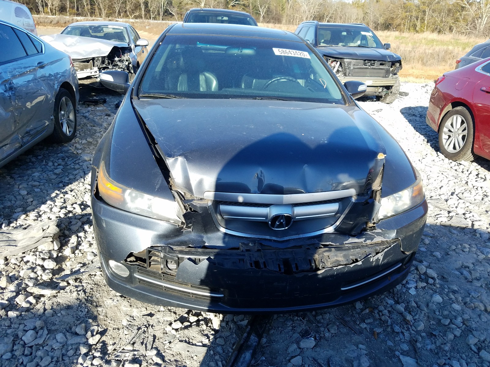 Photo 8 VIN: 19UUA66277A018057 - ACURA TL 