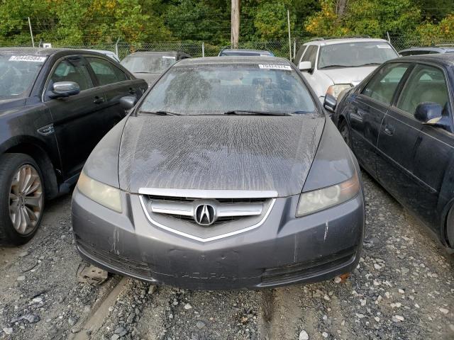 Photo 4 VIN: 19UUA66285A081259 - ACURA TL 