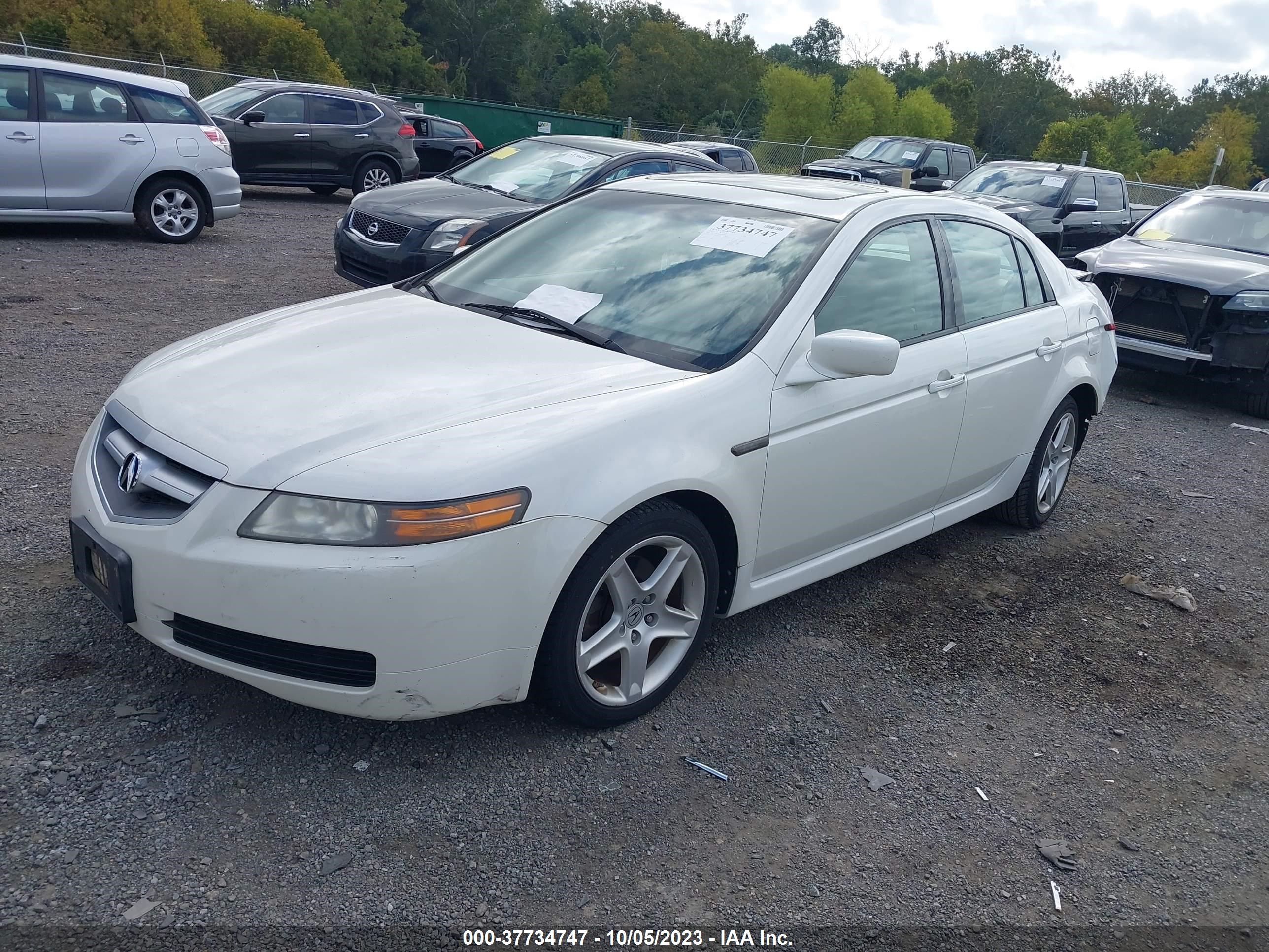 Photo 1 VIN: 19UUA66286A025078 - ACURA TL 