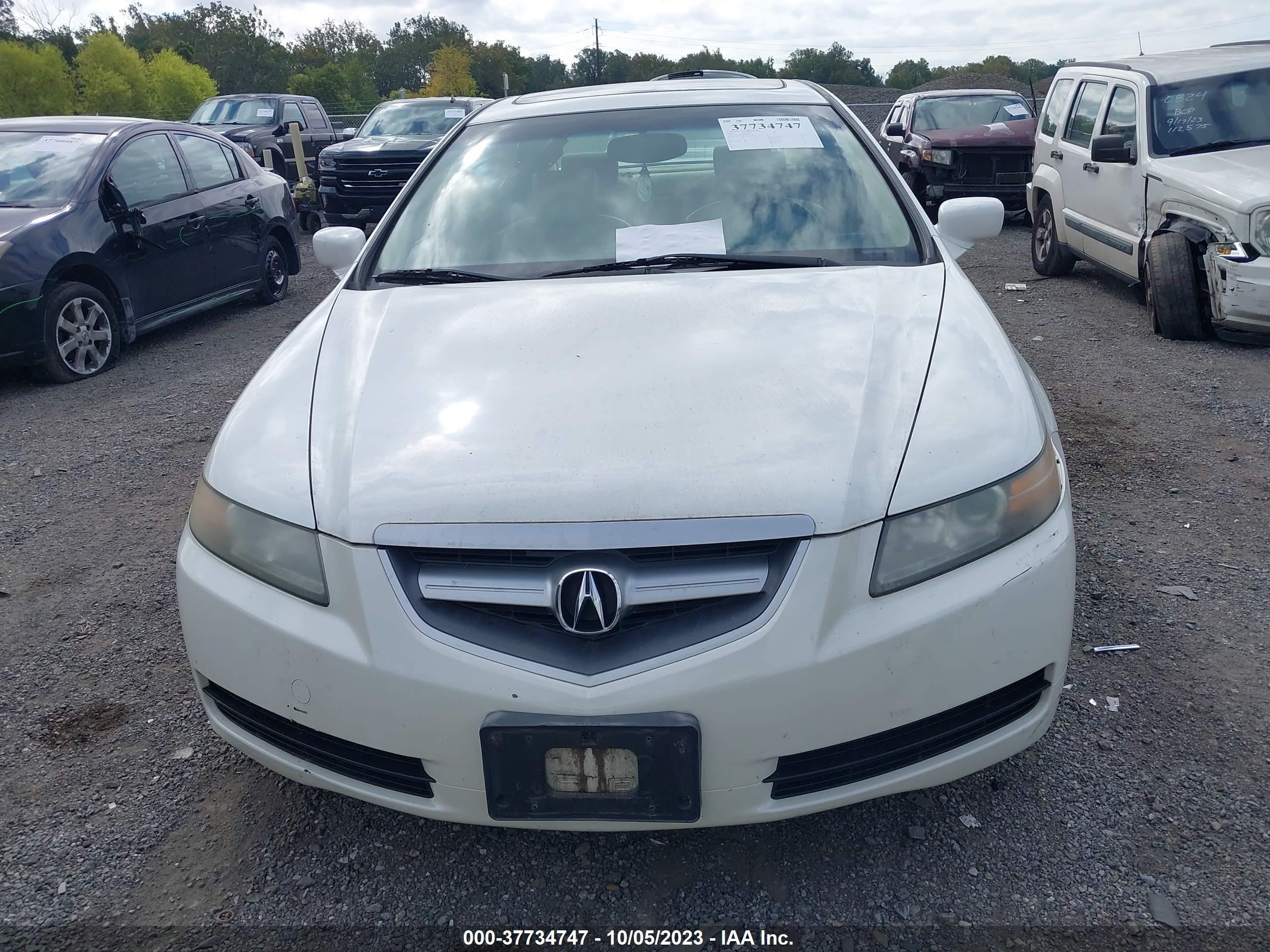 Photo 11 VIN: 19UUA66286A025078 - ACURA TL 