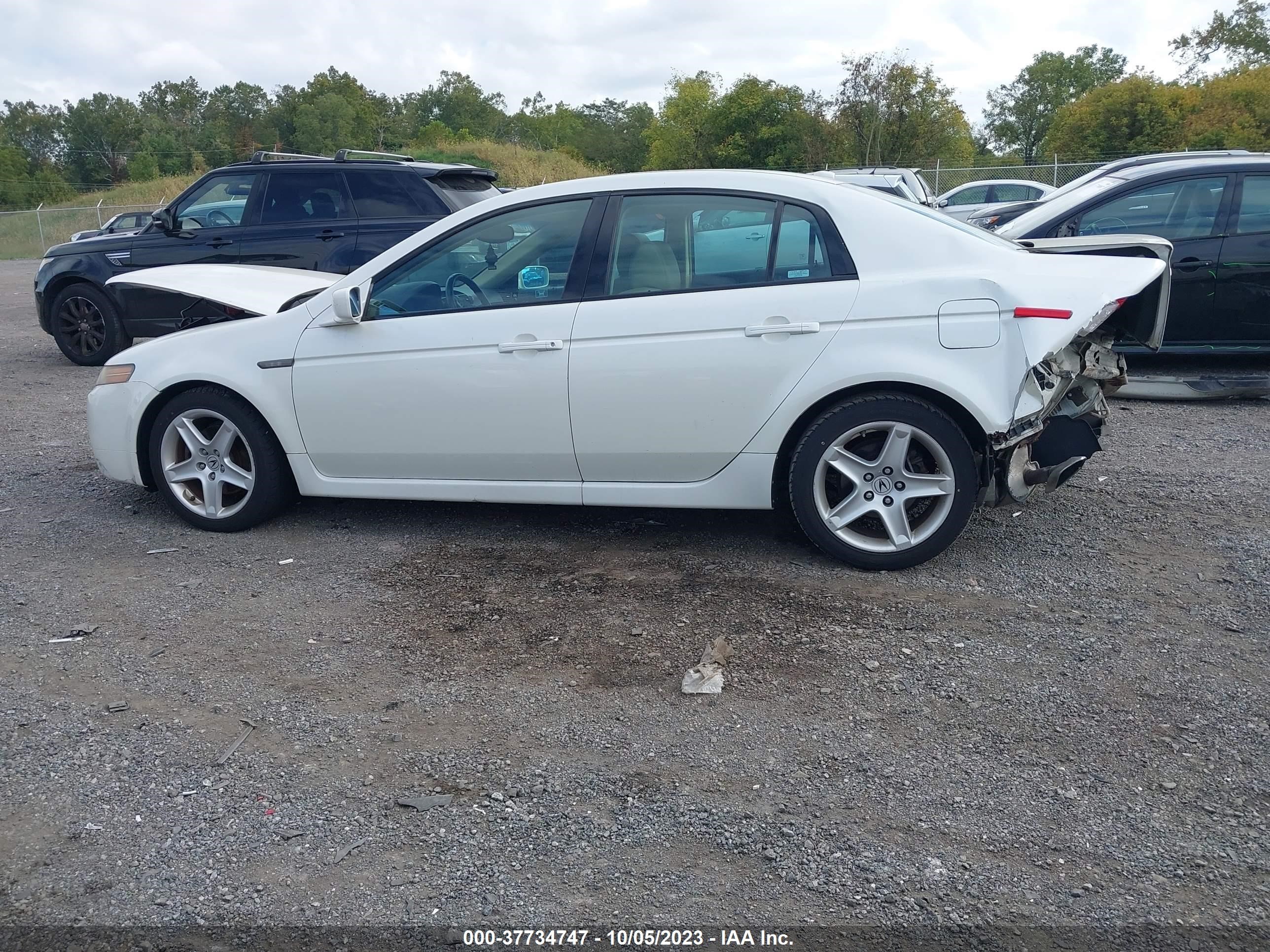 Photo 13 VIN: 19UUA66286A025078 - ACURA TL 