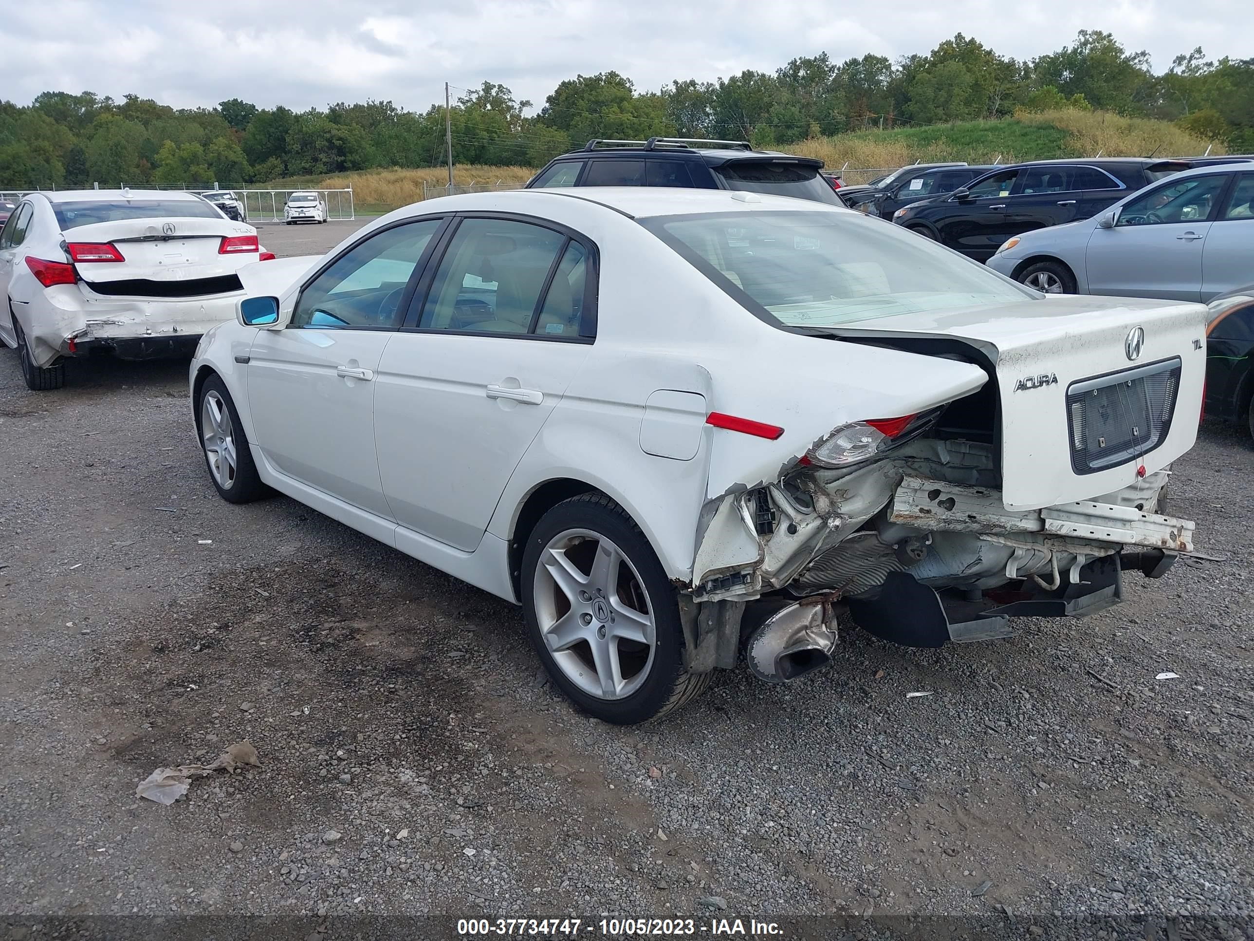 Photo 2 VIN: 19UUA66286A025078 - ACURA TL 