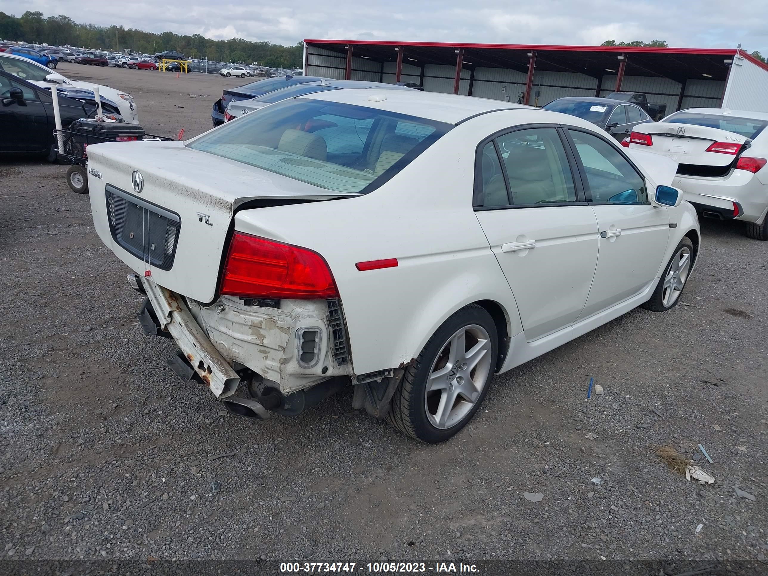 Photo 3 VIN: 19UUA66286A025078 - ACURA TL 