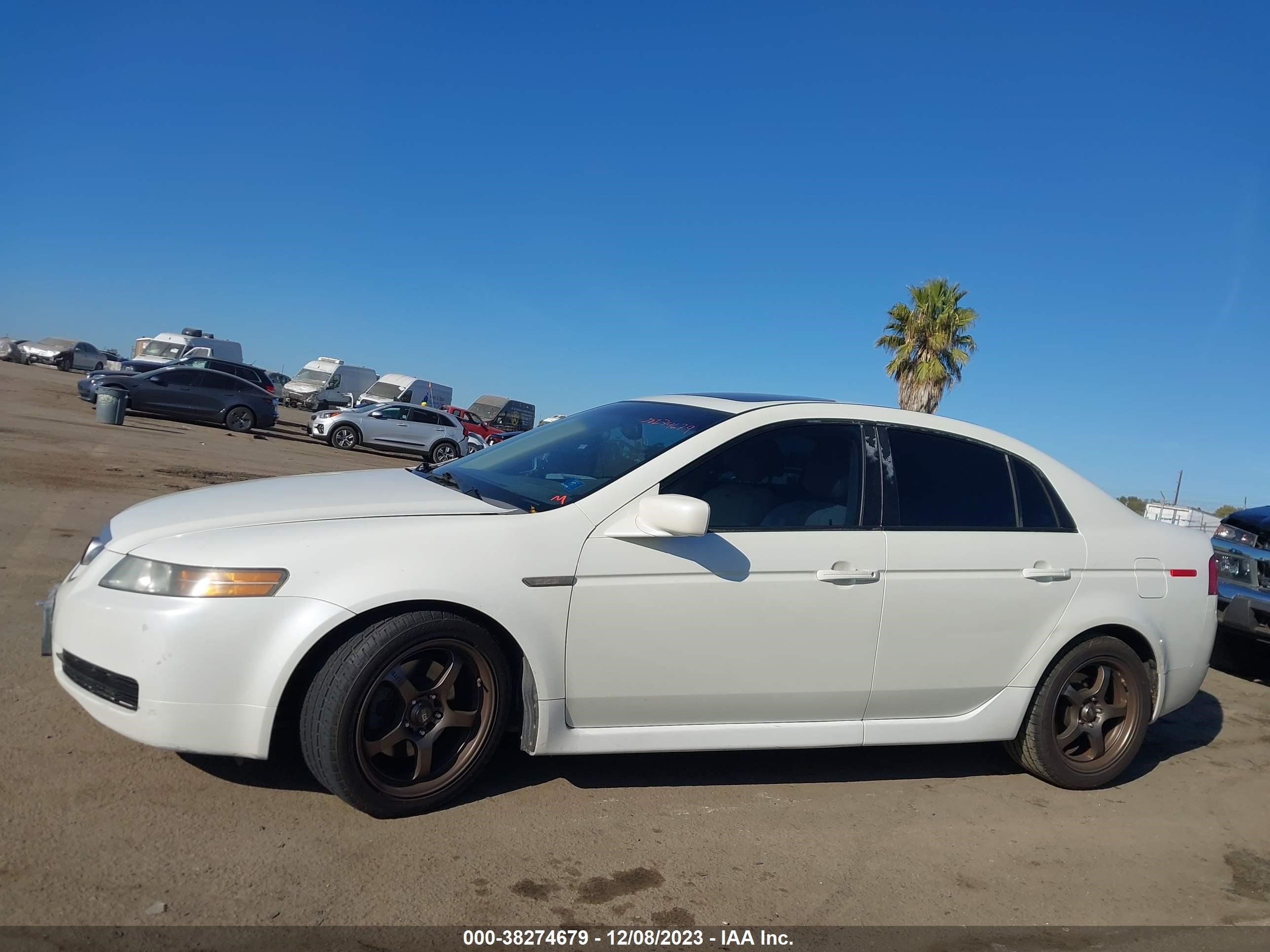 Photo 13 VIN: 19UUA66286A049901 - ACURA TL 