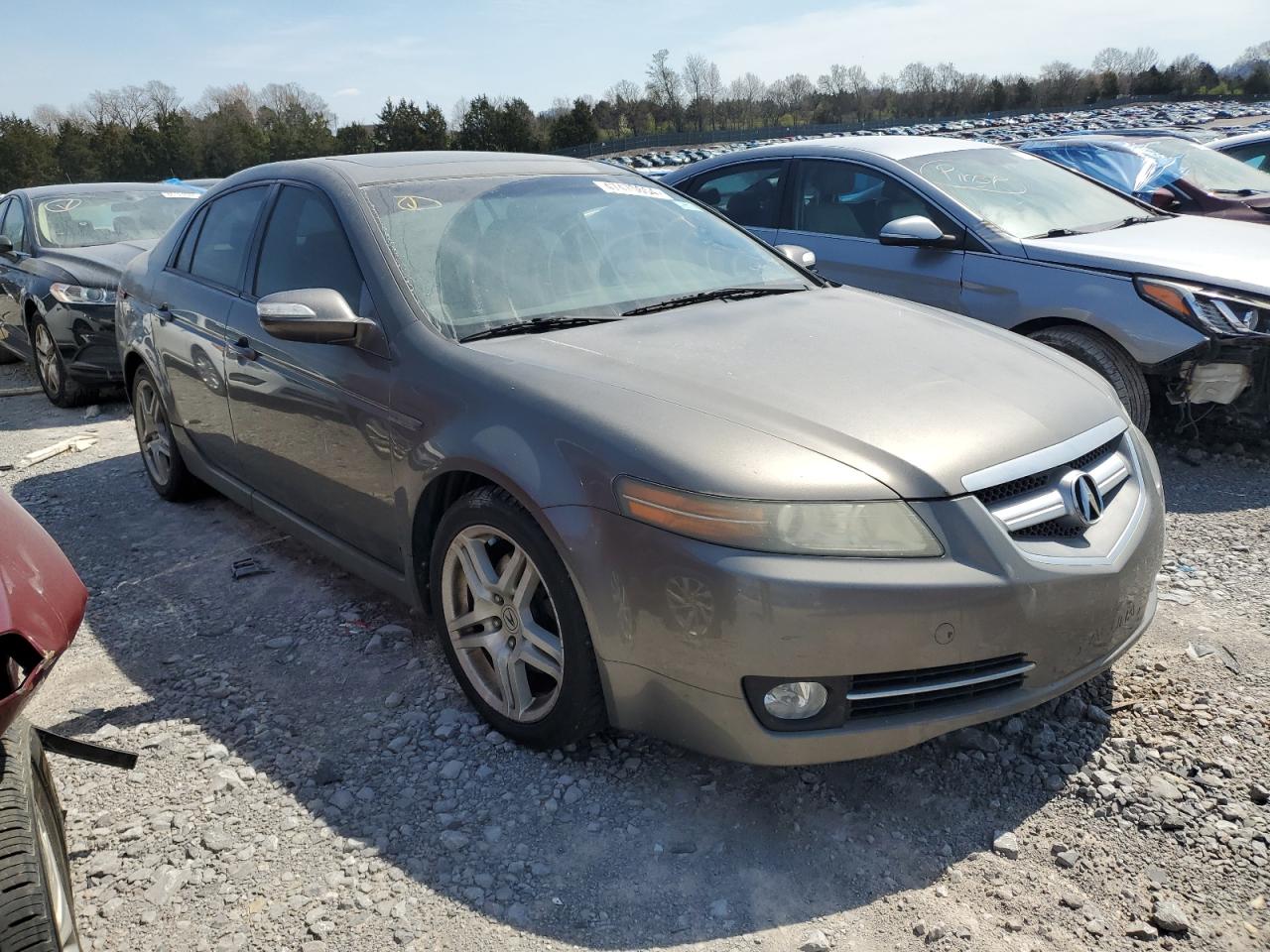 Photo 3 VIN: 19UUA66288A005920 - ACURA TL 