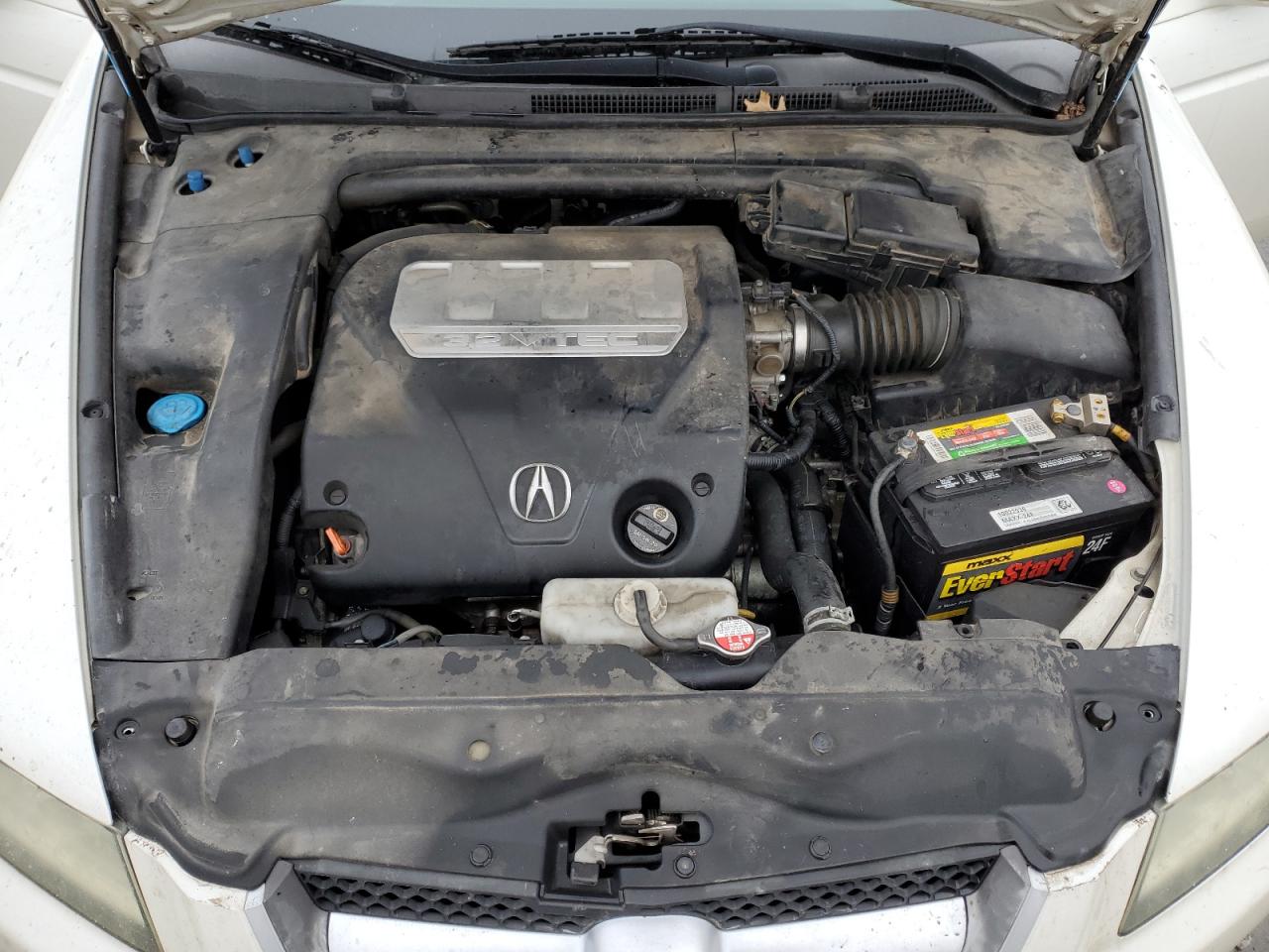 Photo 10 VIN: 19UUA66288A038805 - ACURA TL 