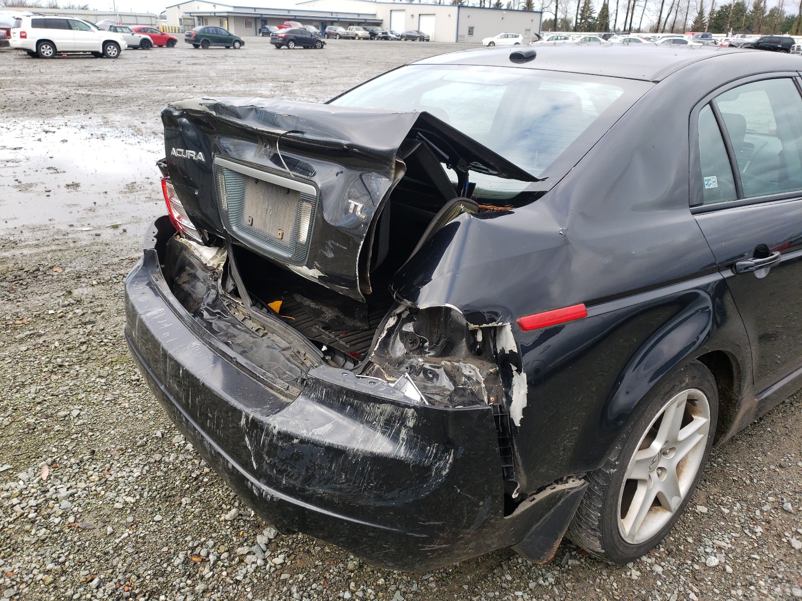 Photo 8 VIN: 19UUA66294A075713 - ACURA TL 