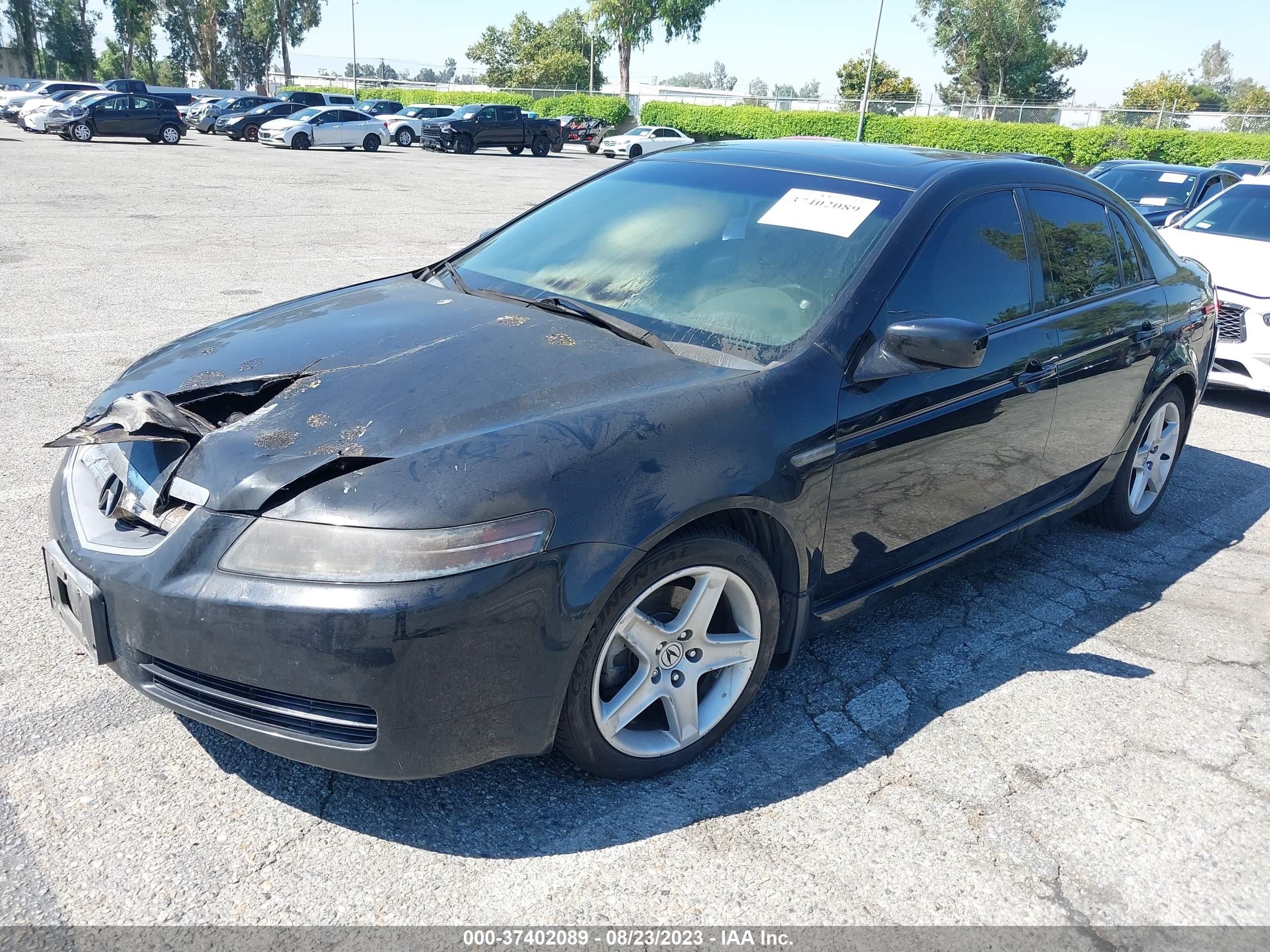 Photo 1 VIN: 19UUA66295A016971 - ACURA TL 