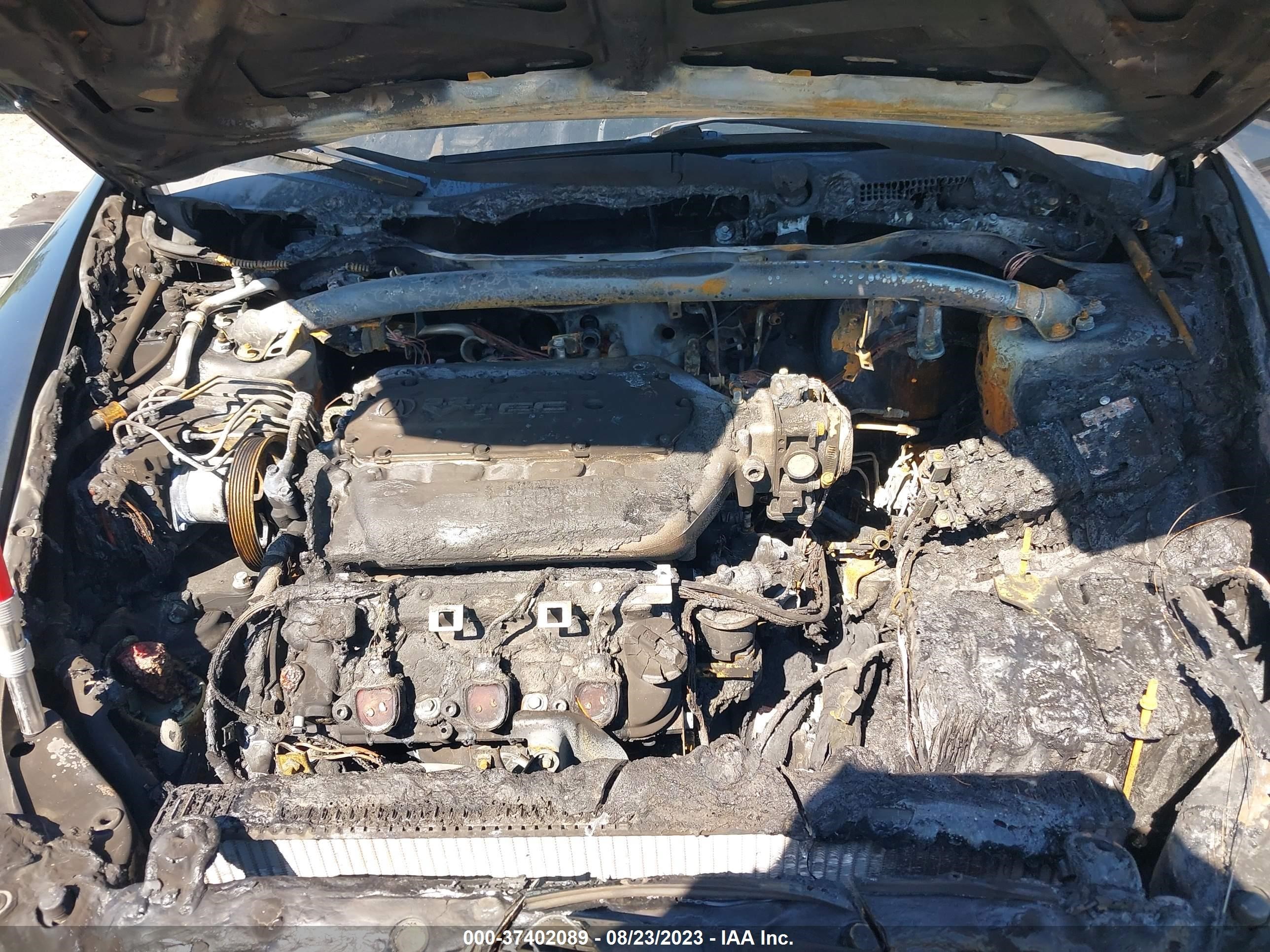 Photo 9 VIN: 19UUA66295A016971 - ACURA TL 