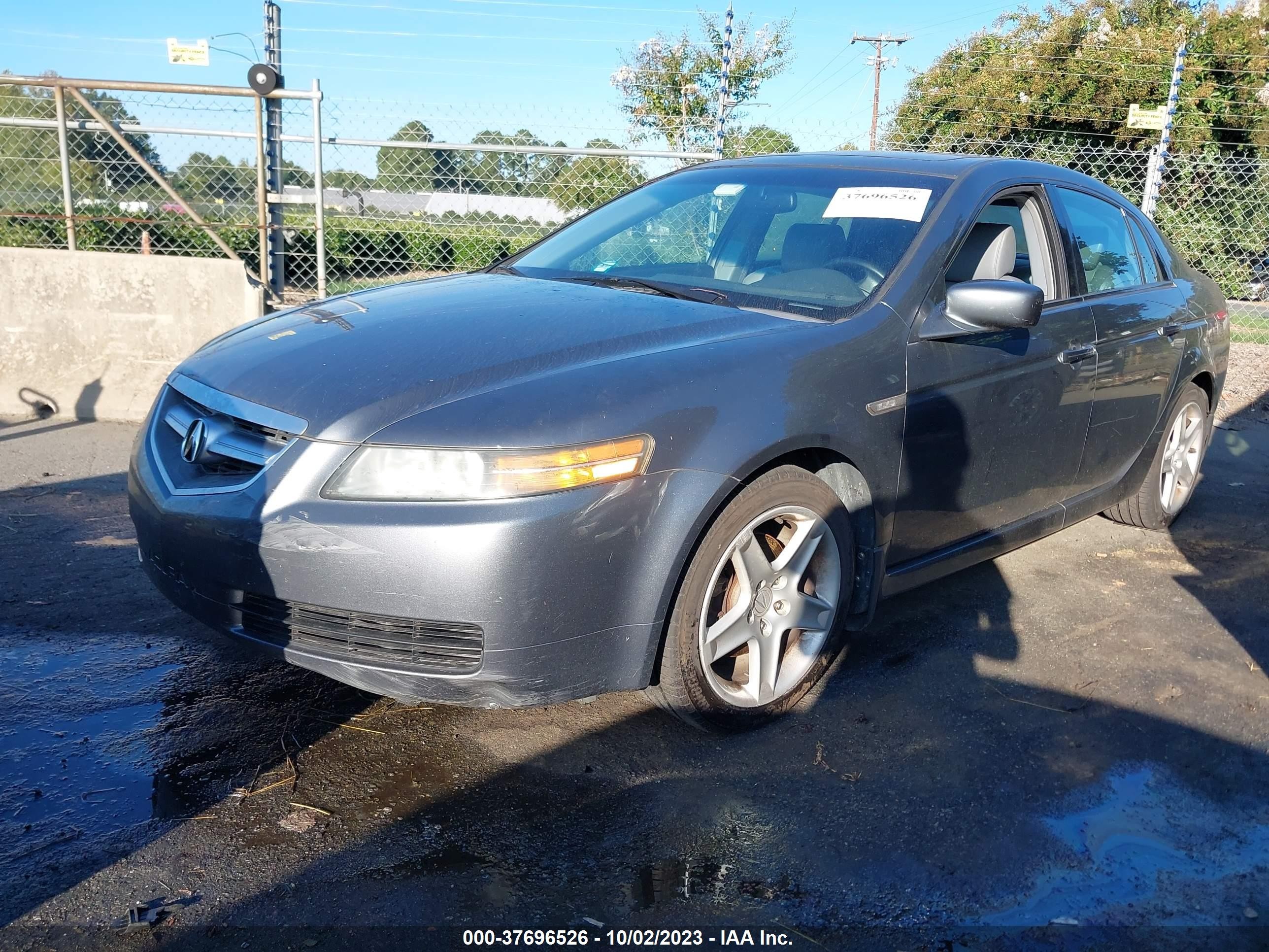 Photo 1 VIN: 19UUA66295A021135 - ACURA TL 