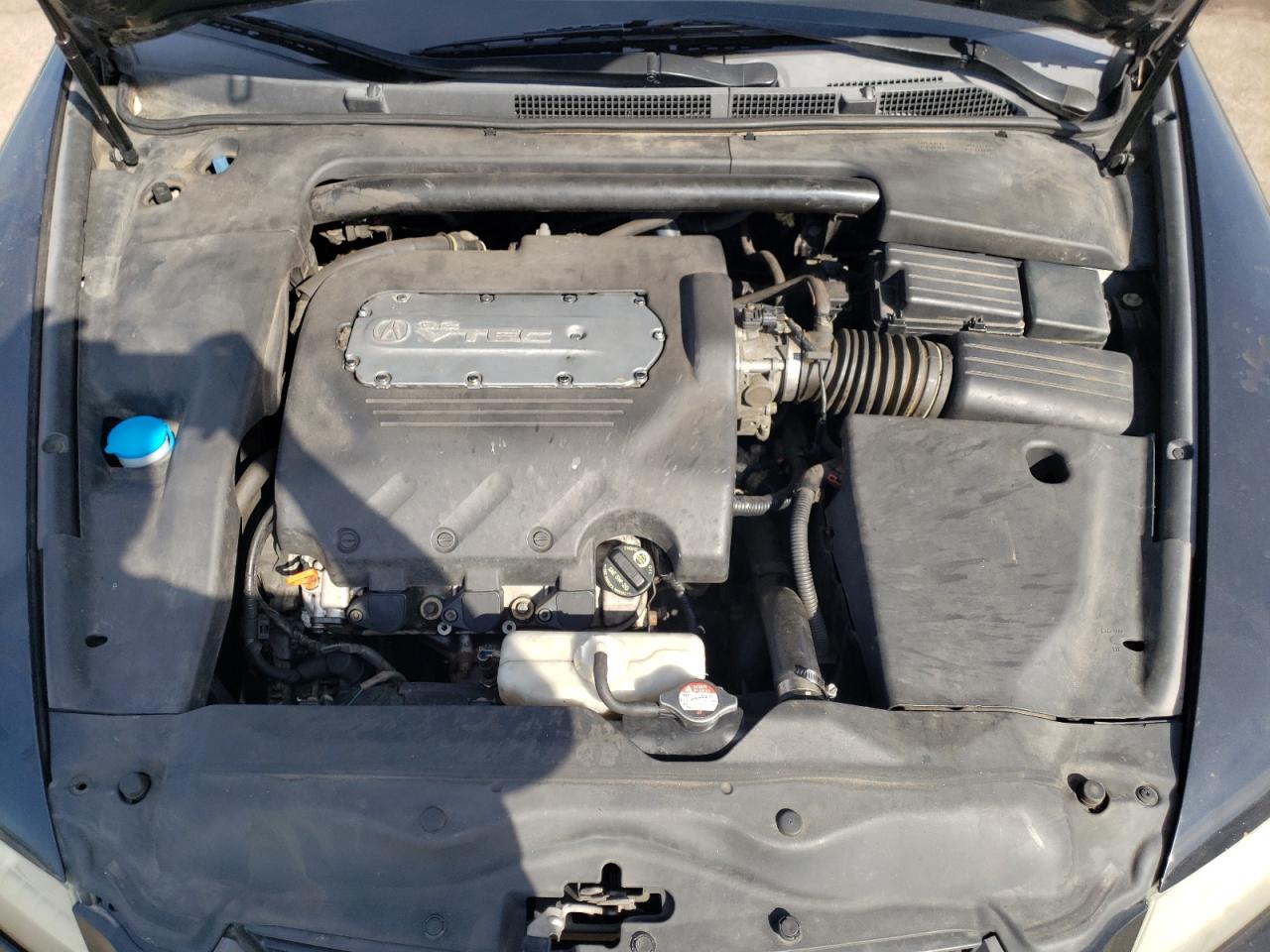 Photo 10 VIN: 19UUA66295A045287 - ACURA TL 